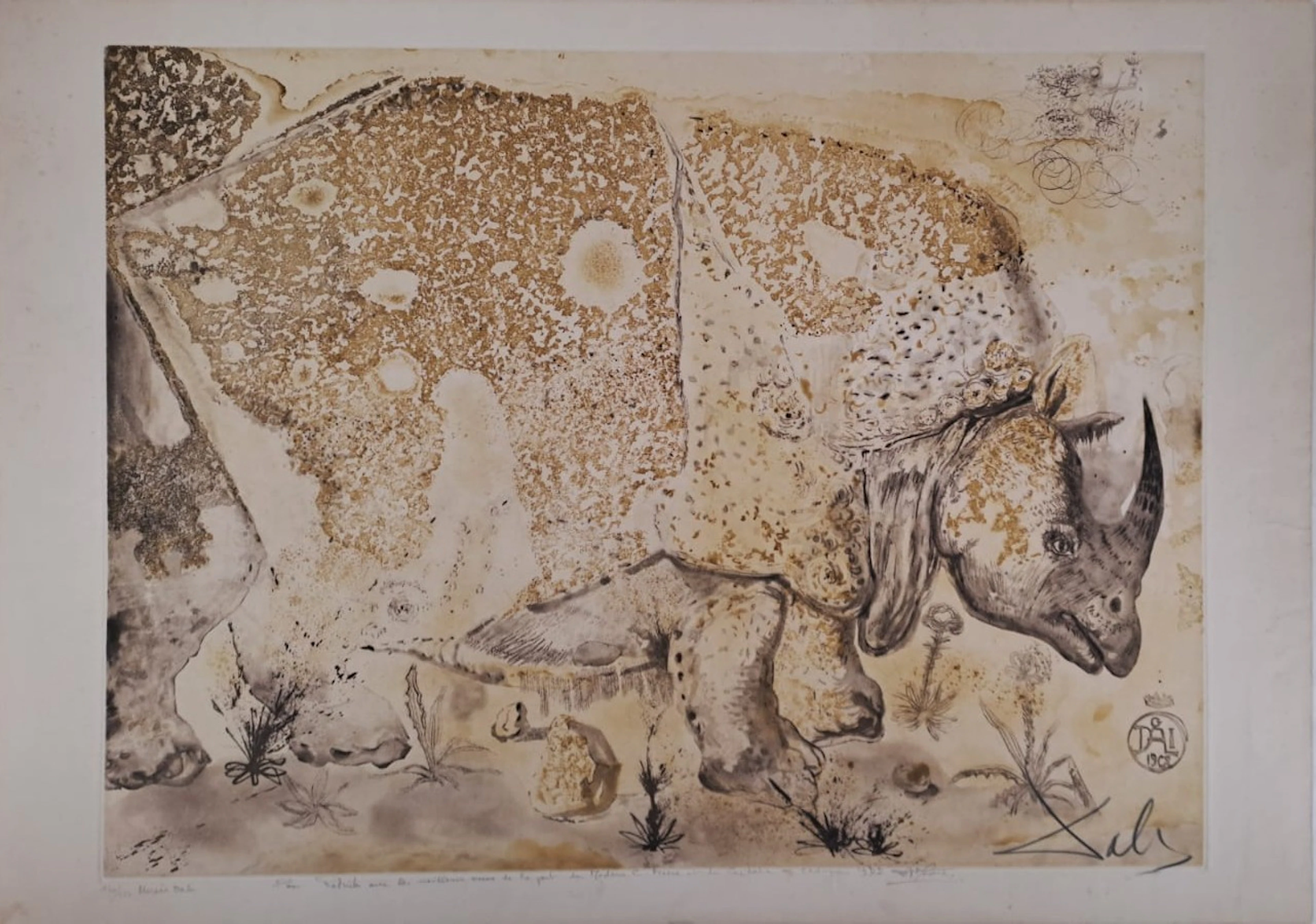 Salvador DALI - Rhinocéros - Gravure originale signée au crayon et numérotée