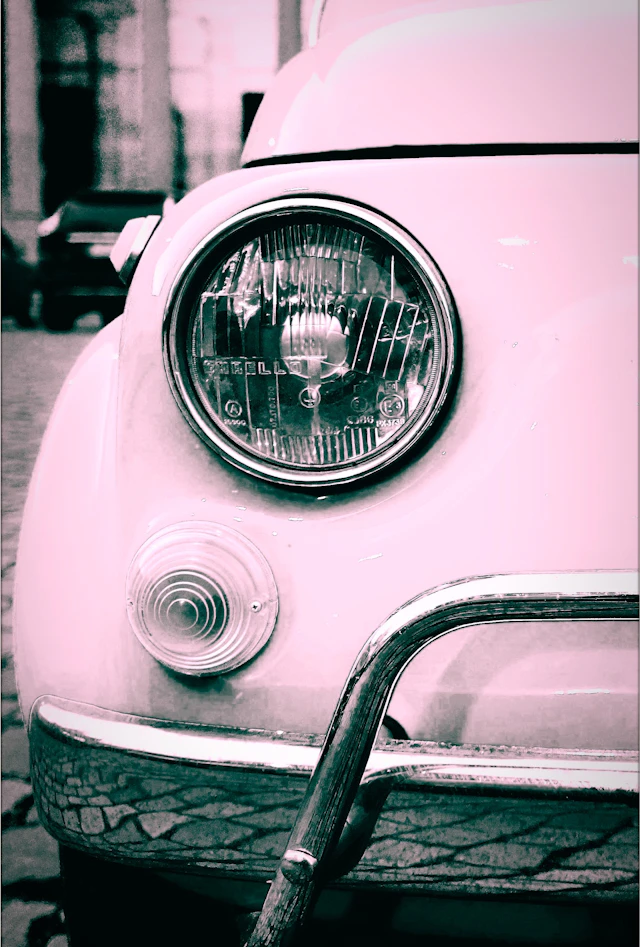 Gaudi .C fiat-500-rose-on-the-street (2016)