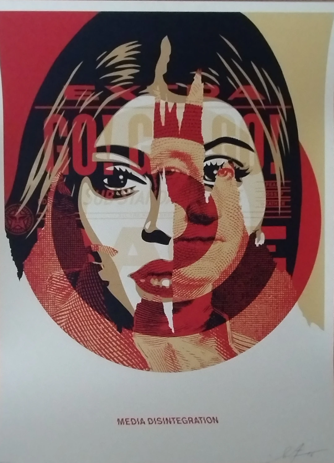 Shepard FAIREY (Obey) - Media Target 2016 Shepard Fairey Shepard Fairey