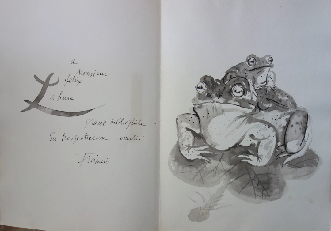 Pierre-Yves TREMOIS - Grenouilles - dessin original