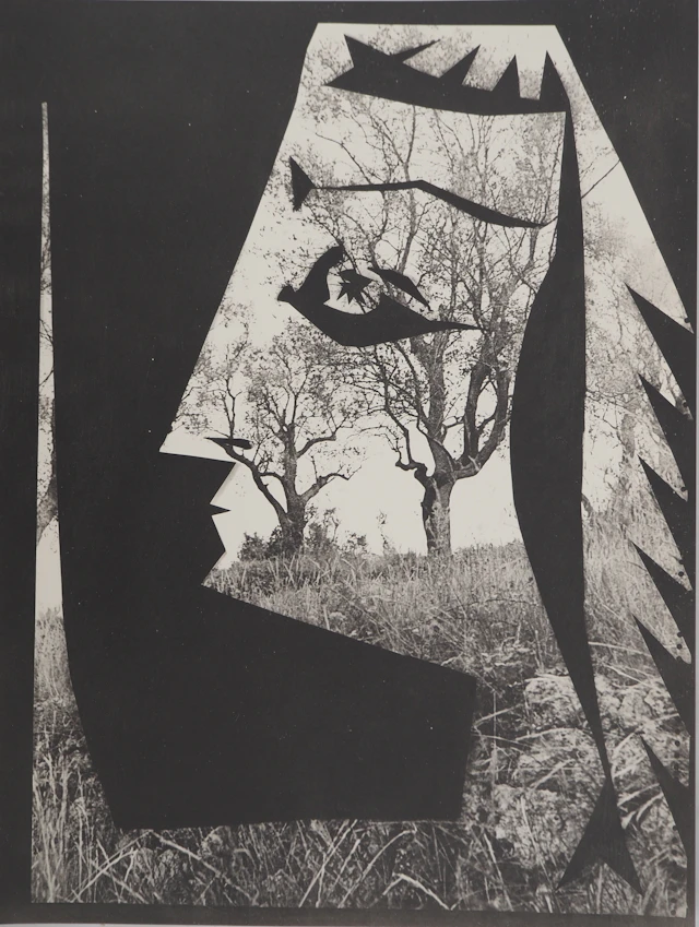 Pablo PICASSO : Diurnes, Jacqueline aux arbres, Phototypie originale