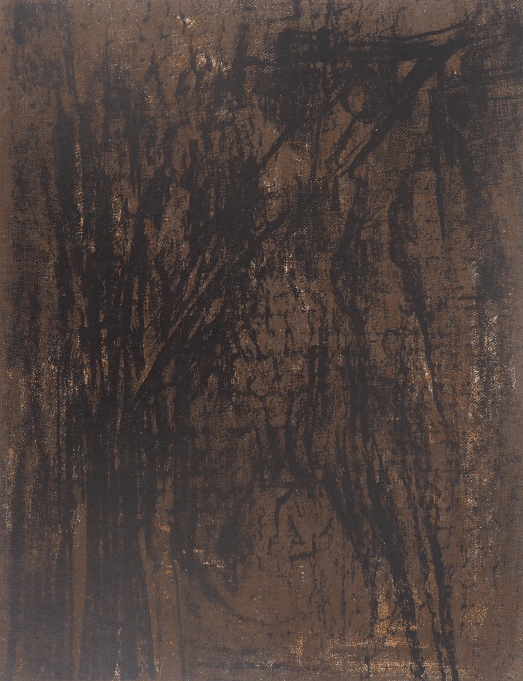 Maria Helena VIEIRA DA SILVA : Terre du Portugal - Lithographie originale