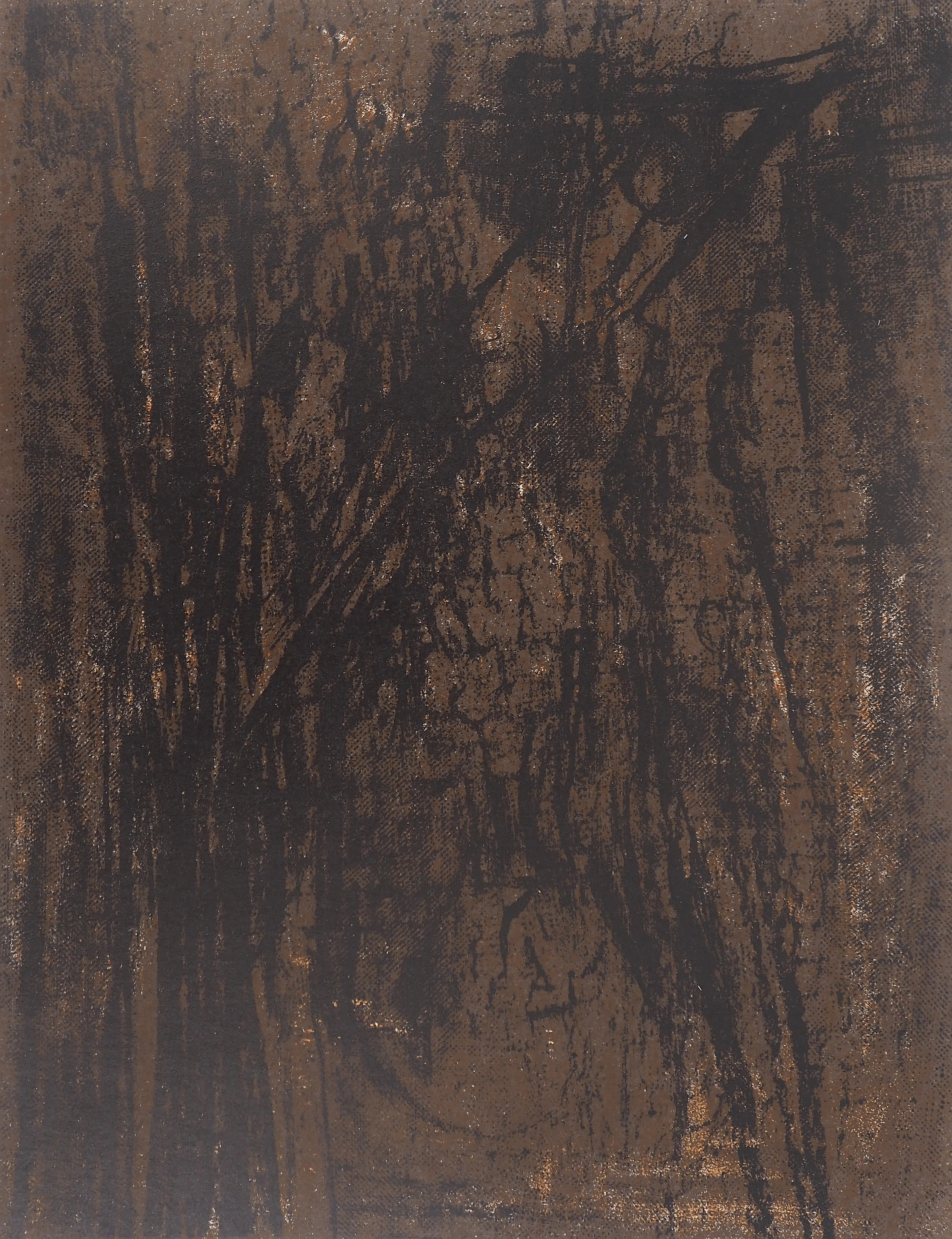 Maria Helena VIEIRA DA SILVA : Terre du Portugal - Lithographie originale