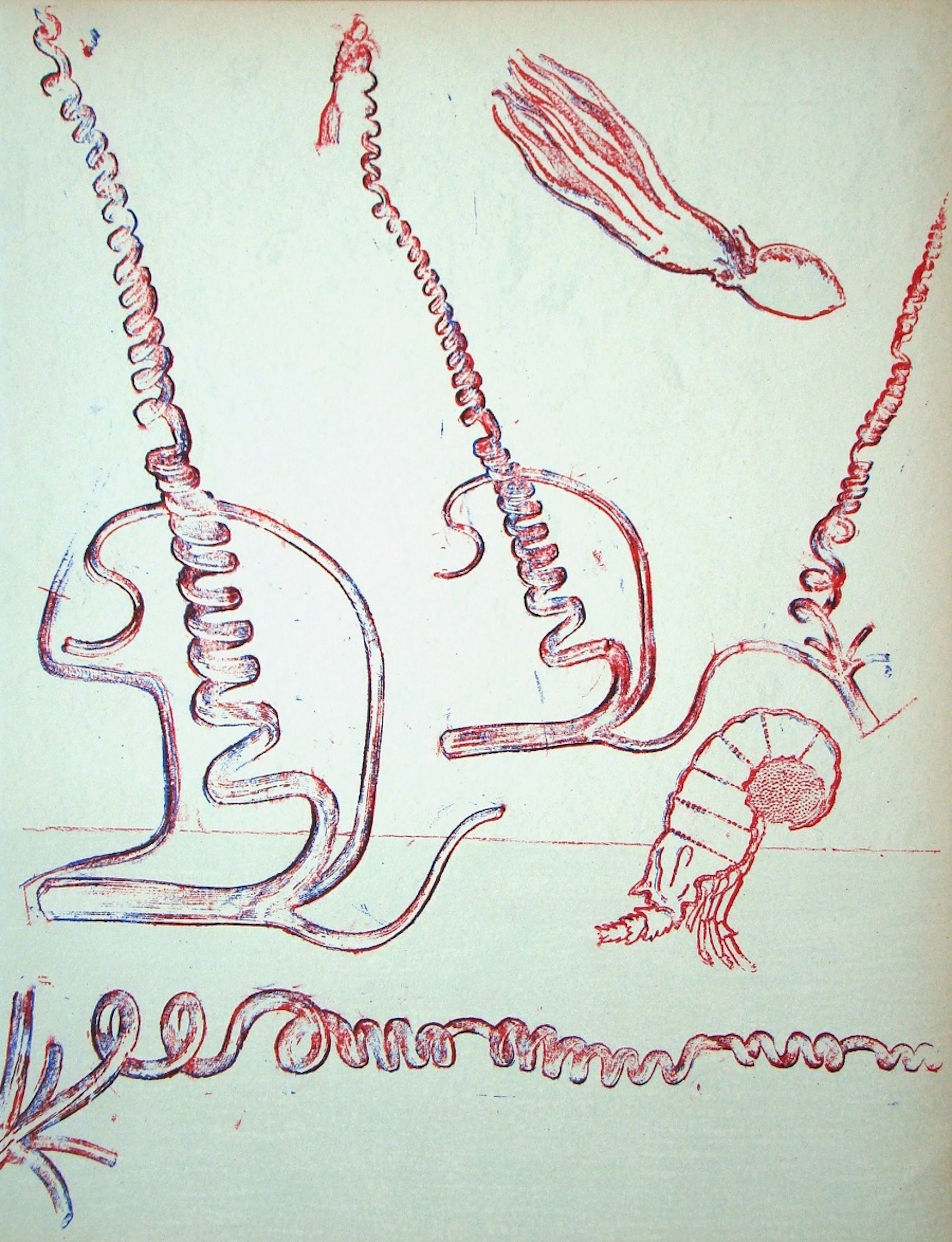 Max ERNST - Composition pour XXe Siècle, 1974 - Lithographie originale