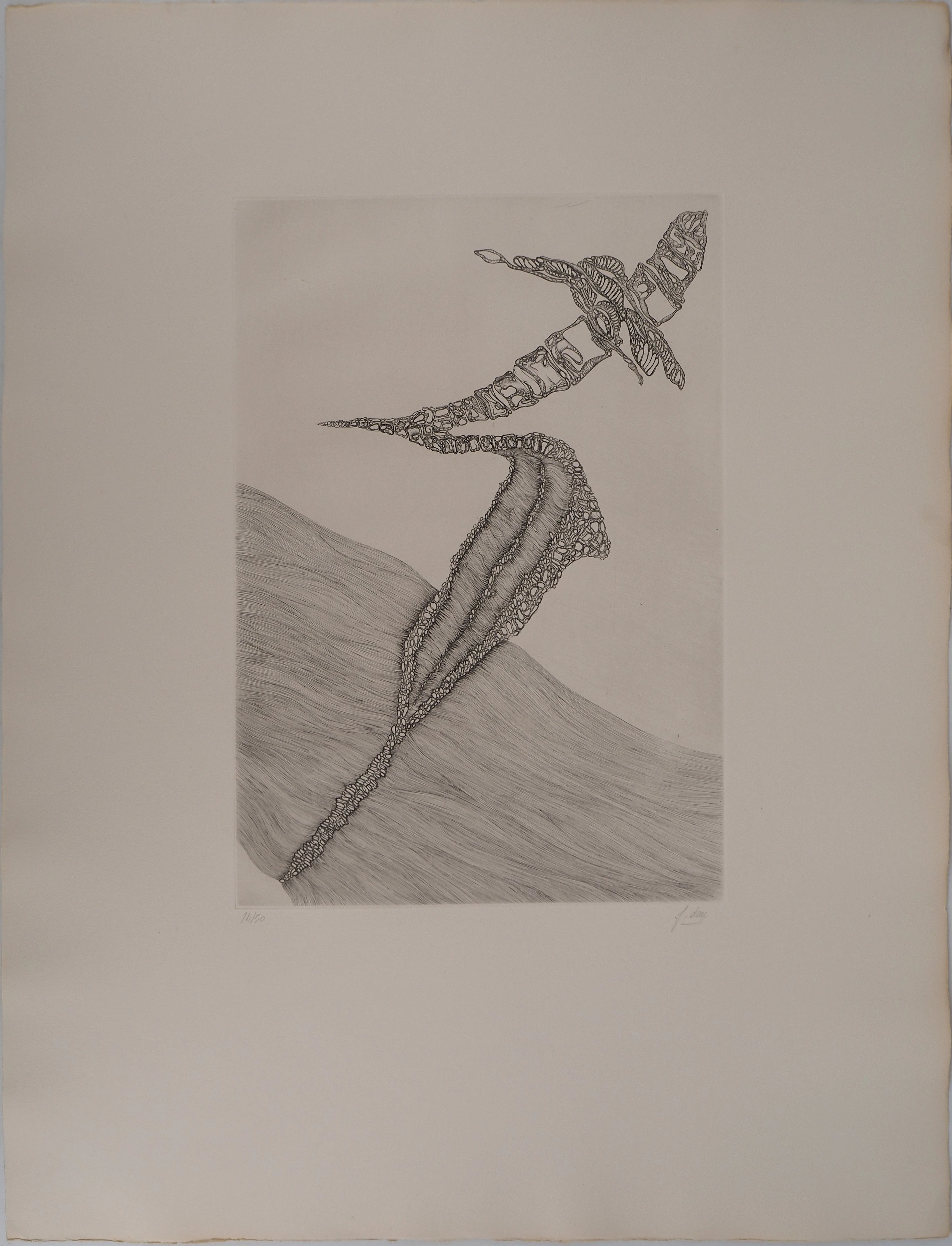 Fred DEUX : Devenir, Gravure originale signée
