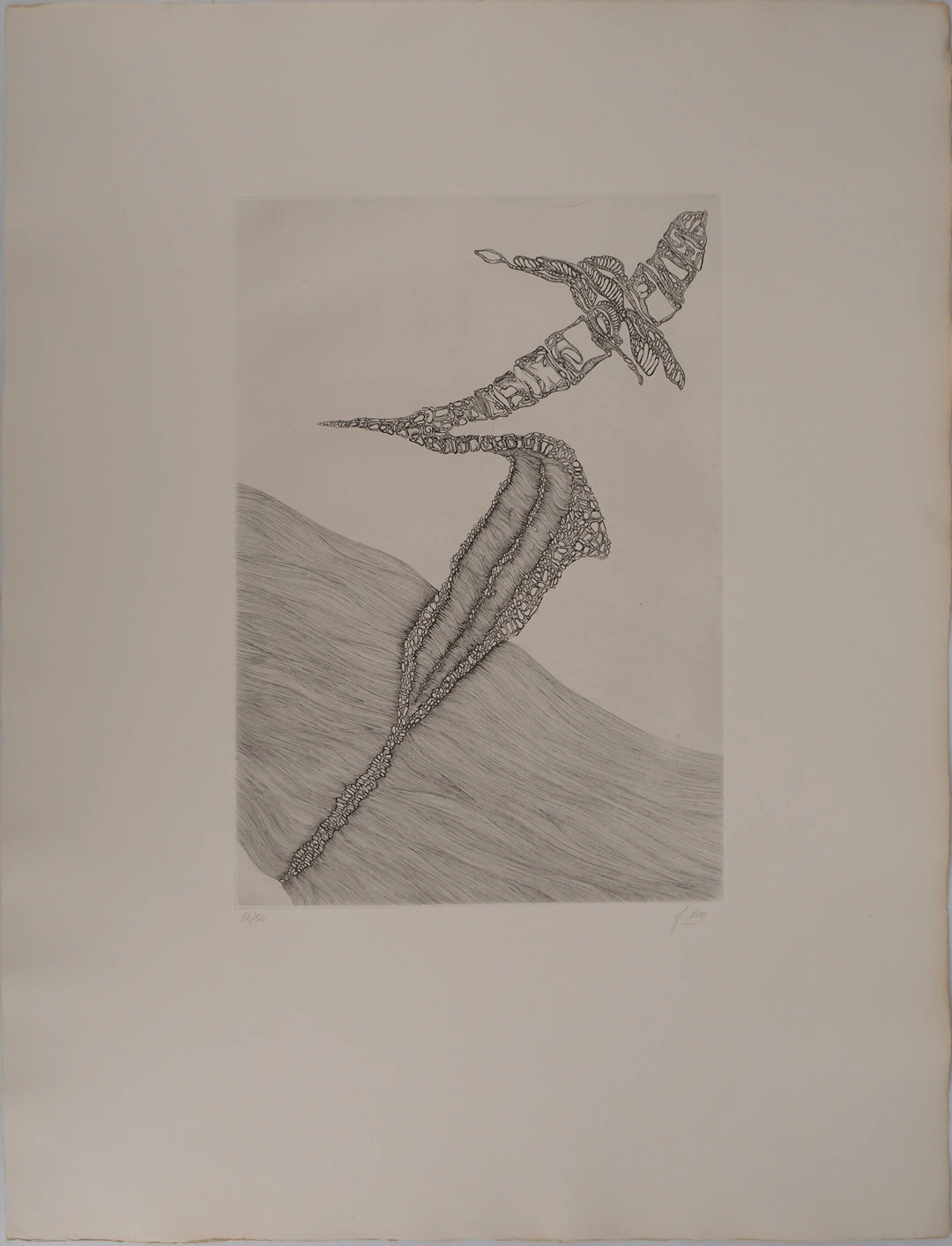 Fred DEUX : Devenir, Gravure originale signée