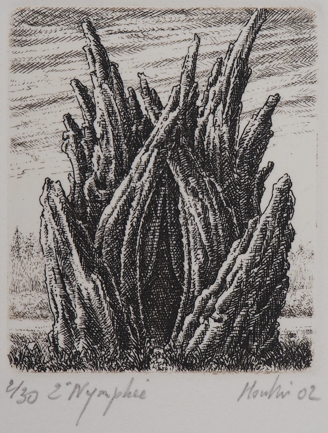 François HOUTIN : 2ème nymphée - Gravure Originale Signée