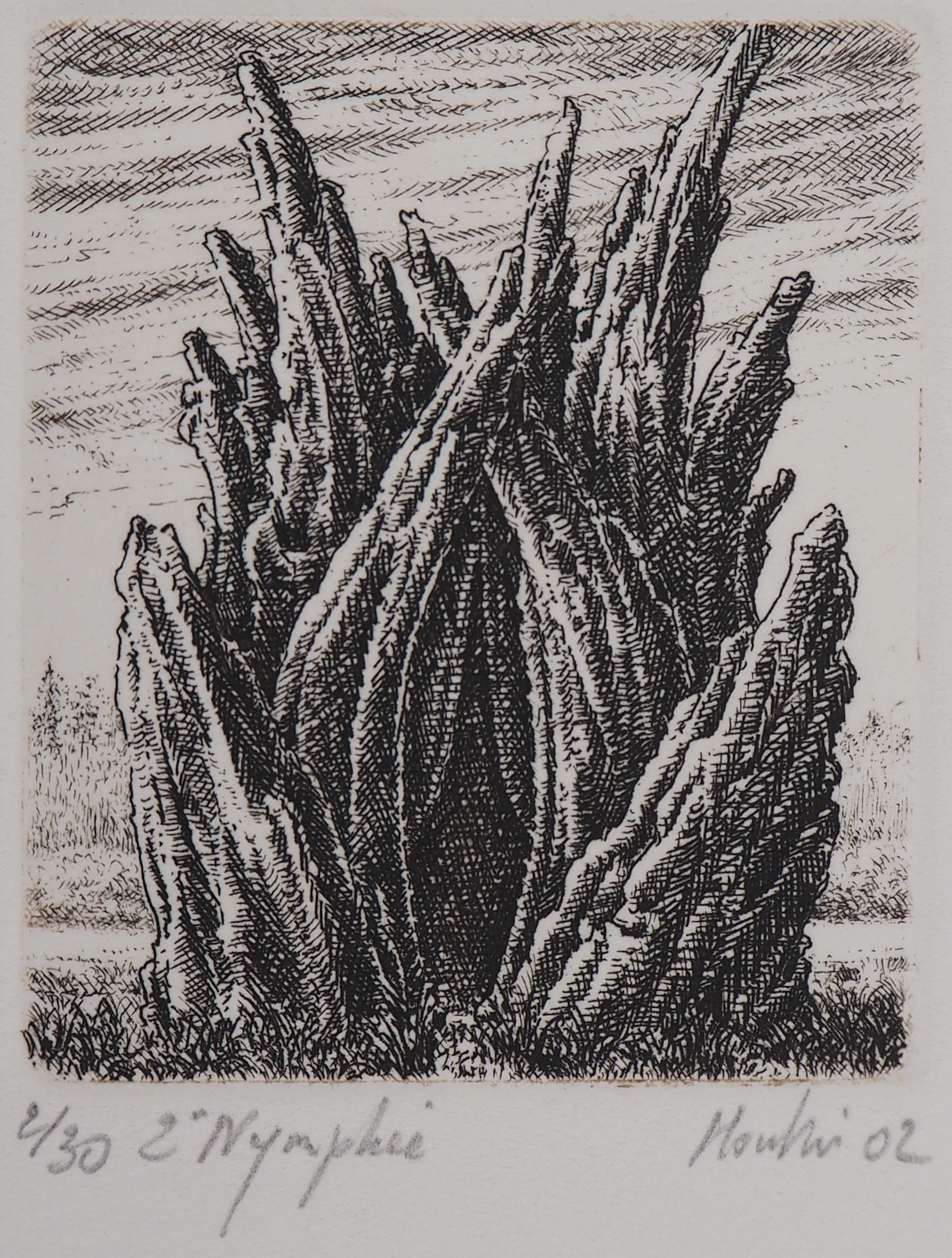 François HOUTIN : 2ème nymphée - Gravure Originale Signée