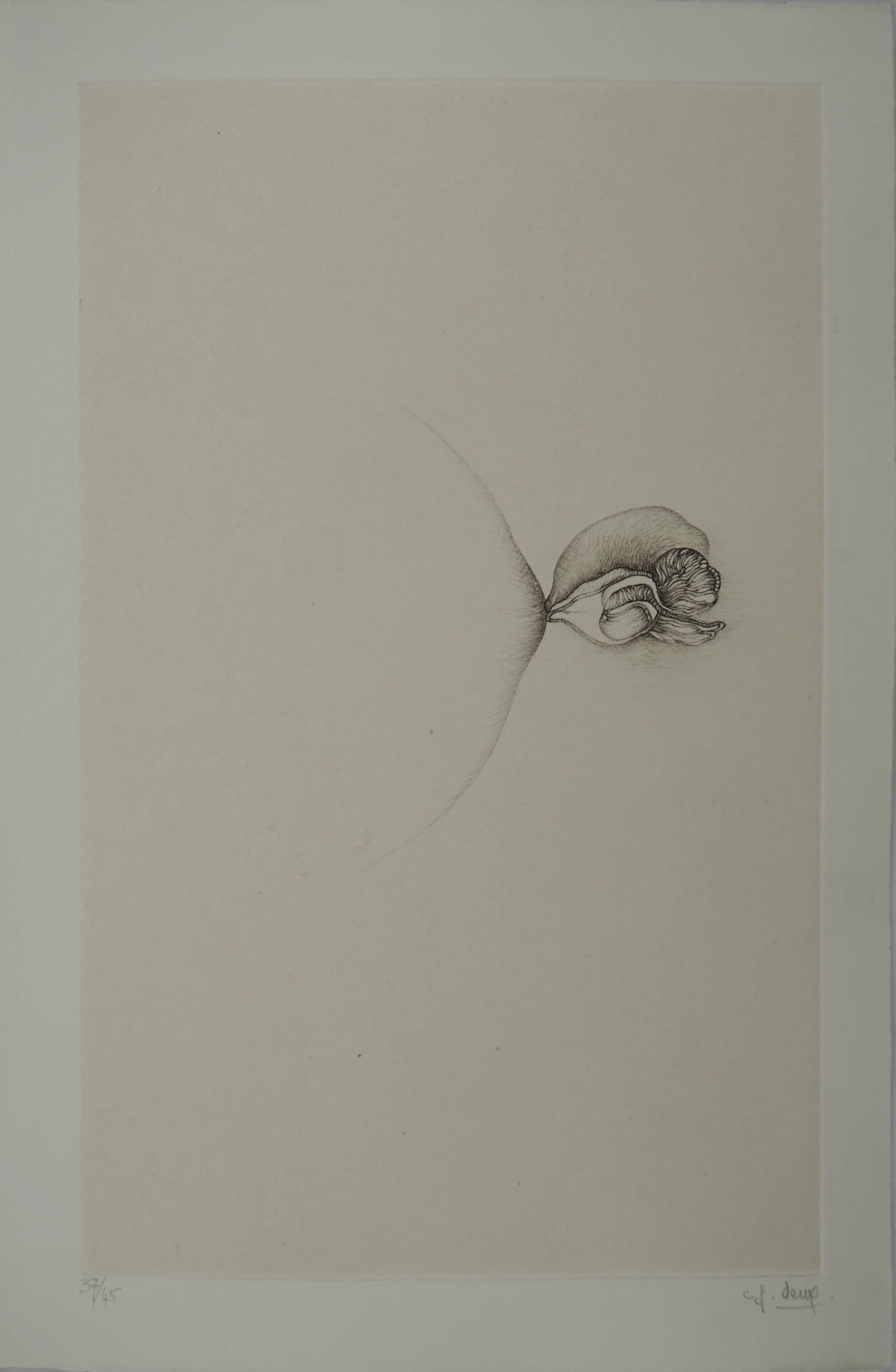 Fred DEUX : Anatomie d’un bourgeon, Gravure originale signée