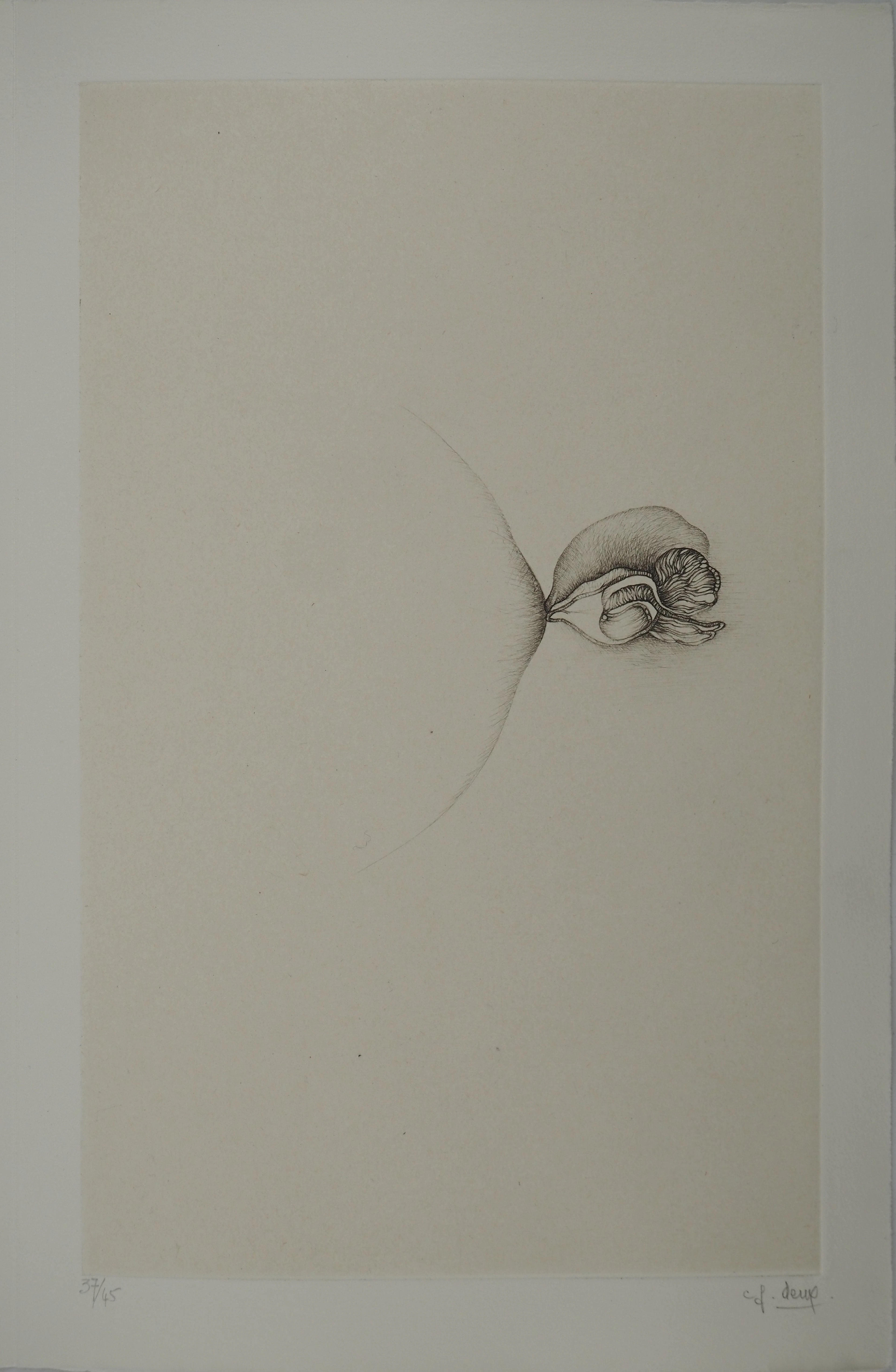 Fred DEUX : Anatomie d’un bourgeon, Gravure originale signée
