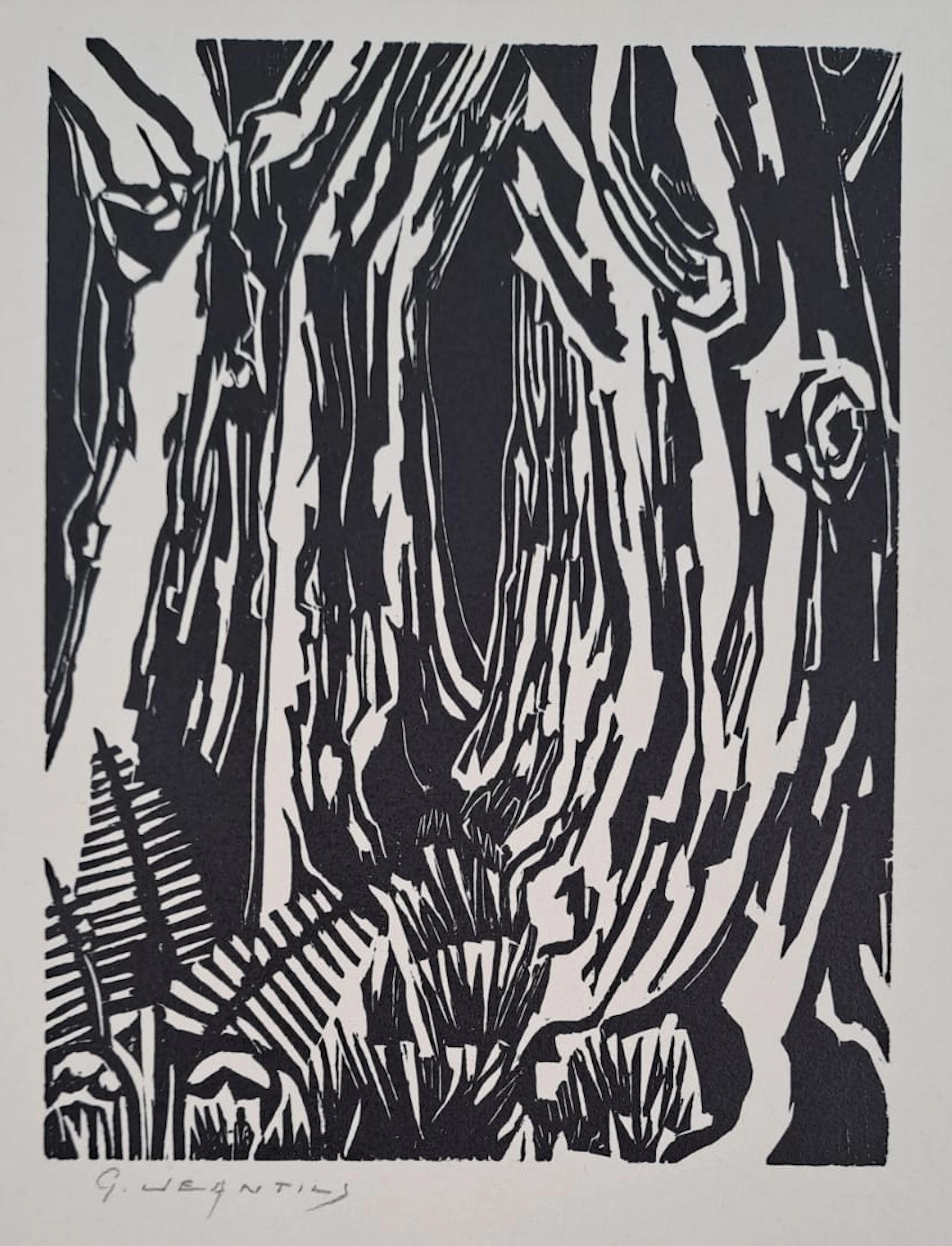 Georges Jeantils - La futaie, 1951 - Bois gravé - signé au crayon