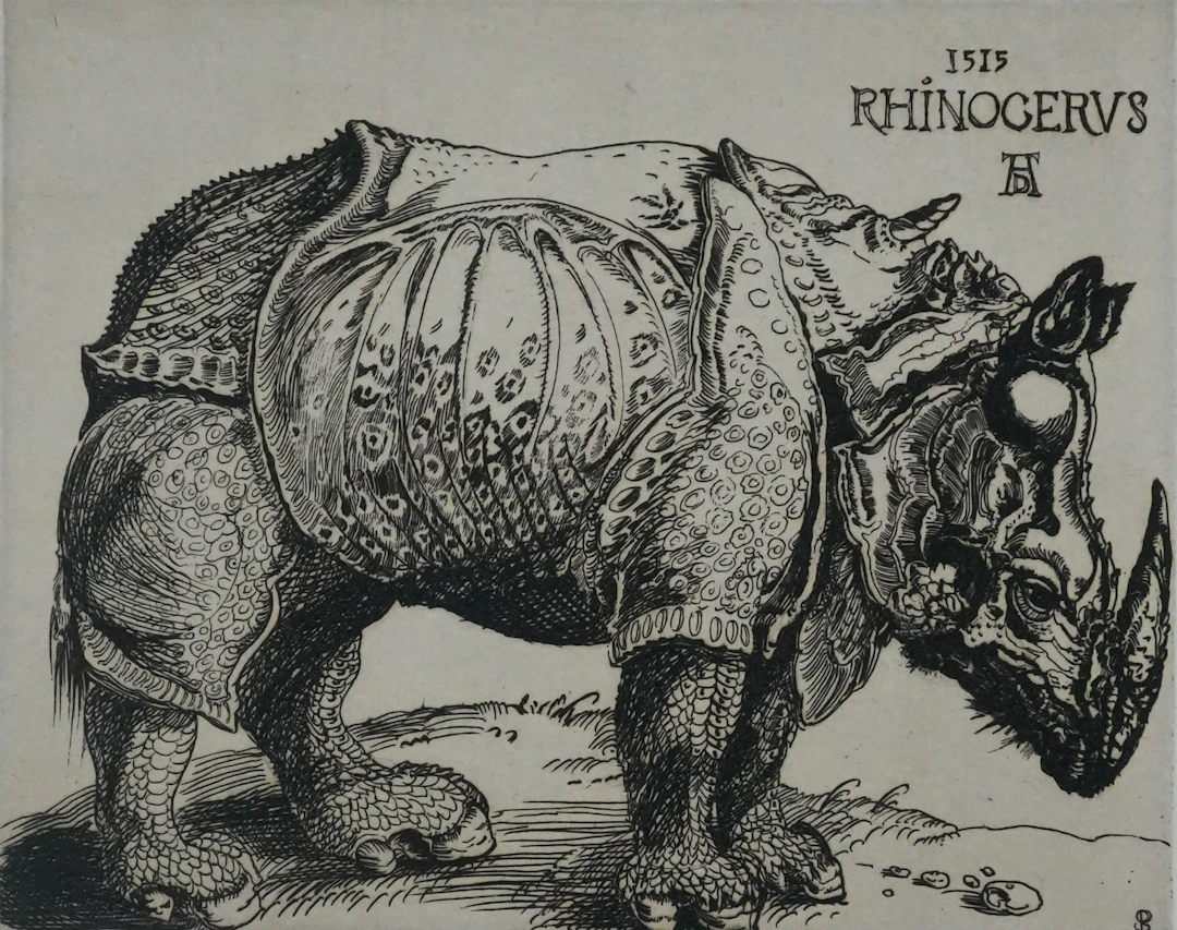 Albrecht DURER : Le Rhinocéros, Gravure signée