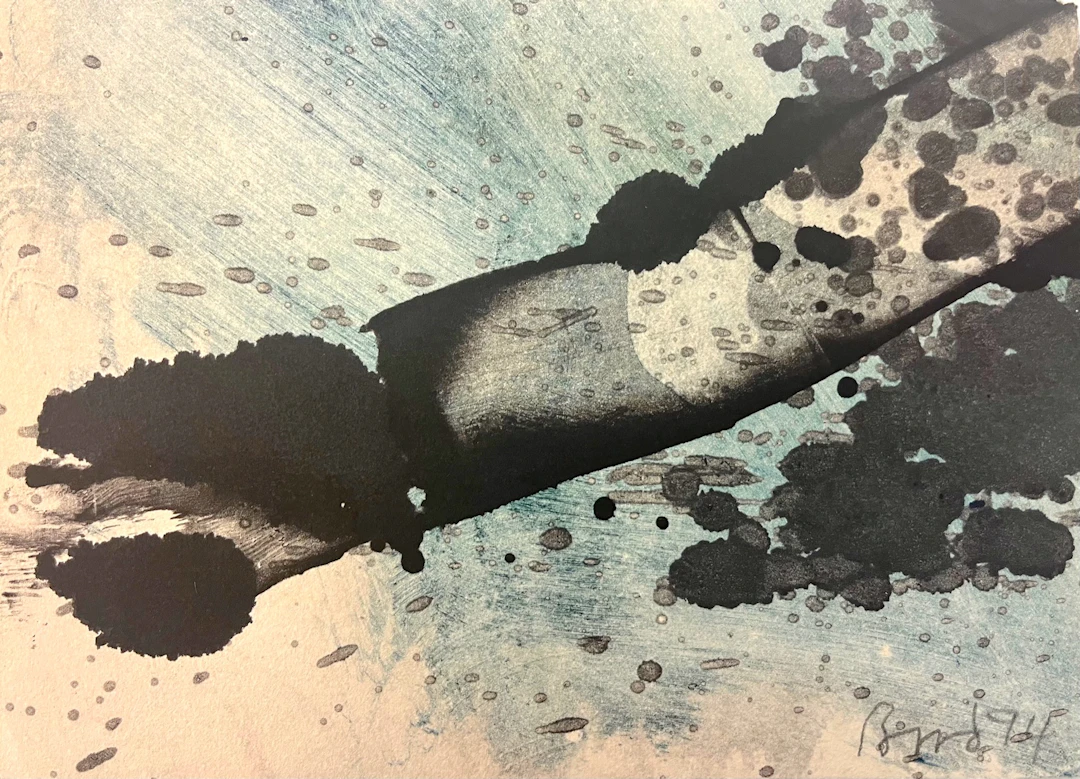 Jim Bird - Ancho por dentro, 1994 - Lavis gouaché signé