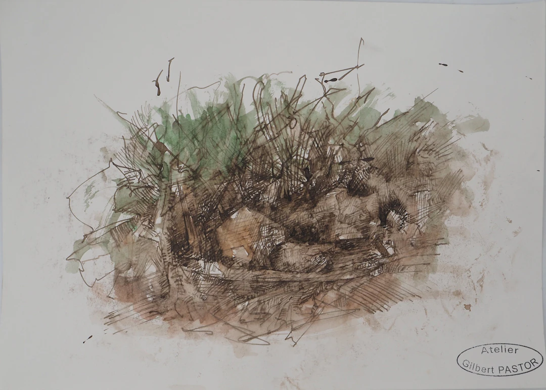 Gilbert PASTOR : Cachette des animaux, Aquarelle originale signée