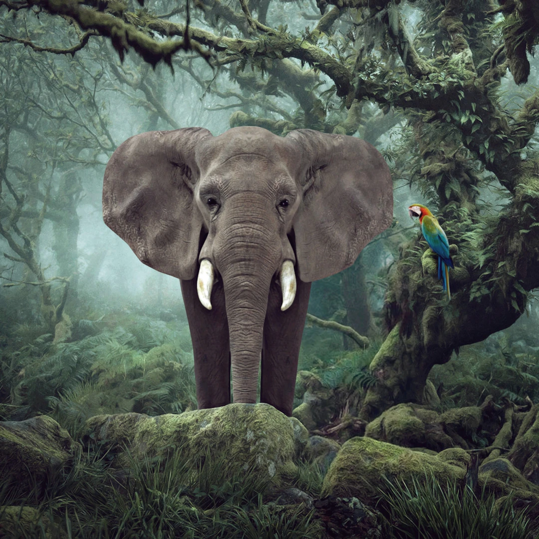 Burnell Primary Forest - 2024 - Mr Strange - Giclée sur papier Hanhemühle