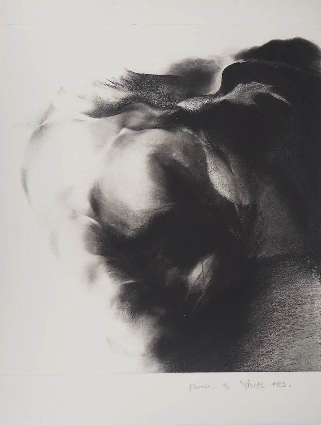 Jean-Luc FAUVEL : Paysage onirique (Pluralis), 1985 - Gravure Originale Signée