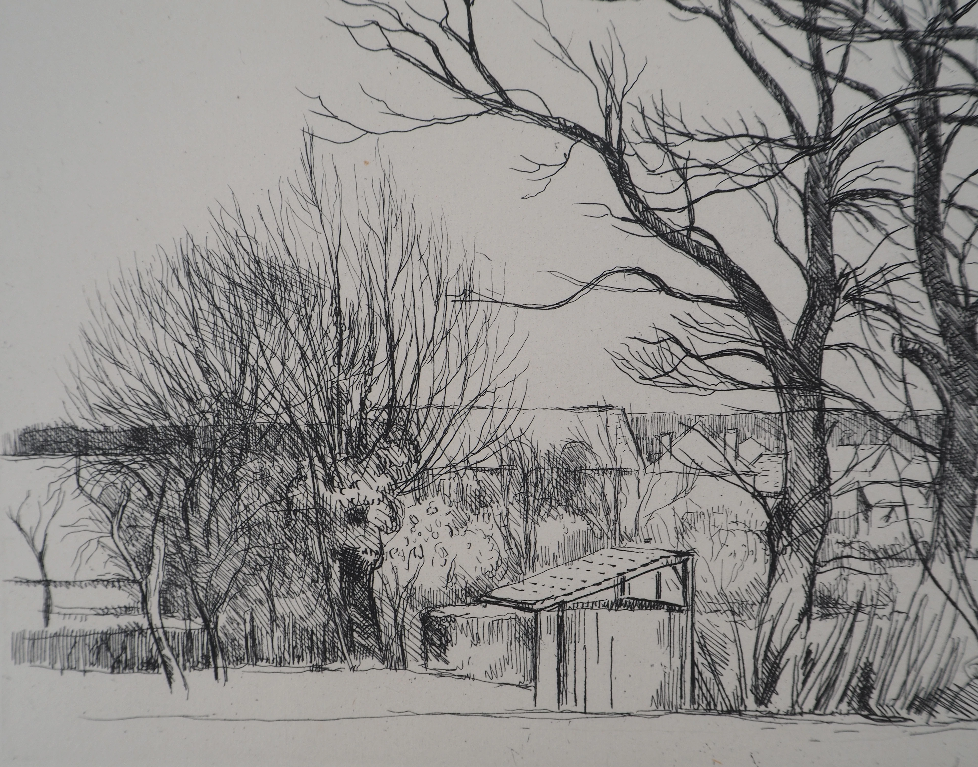 Eugène CORNEAU : Vieux arbres - Gravure Originale Signée, 1946