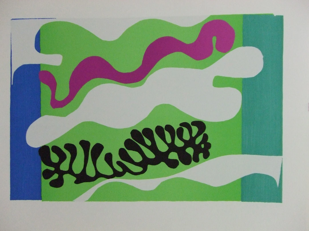 Henri MATISSE (d’après) - Le lagon II, Lithographie
