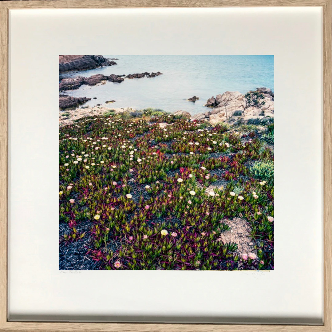 José Nicolas - Saint Tropez, la bonne terre 2016 - Tirage Fine Art