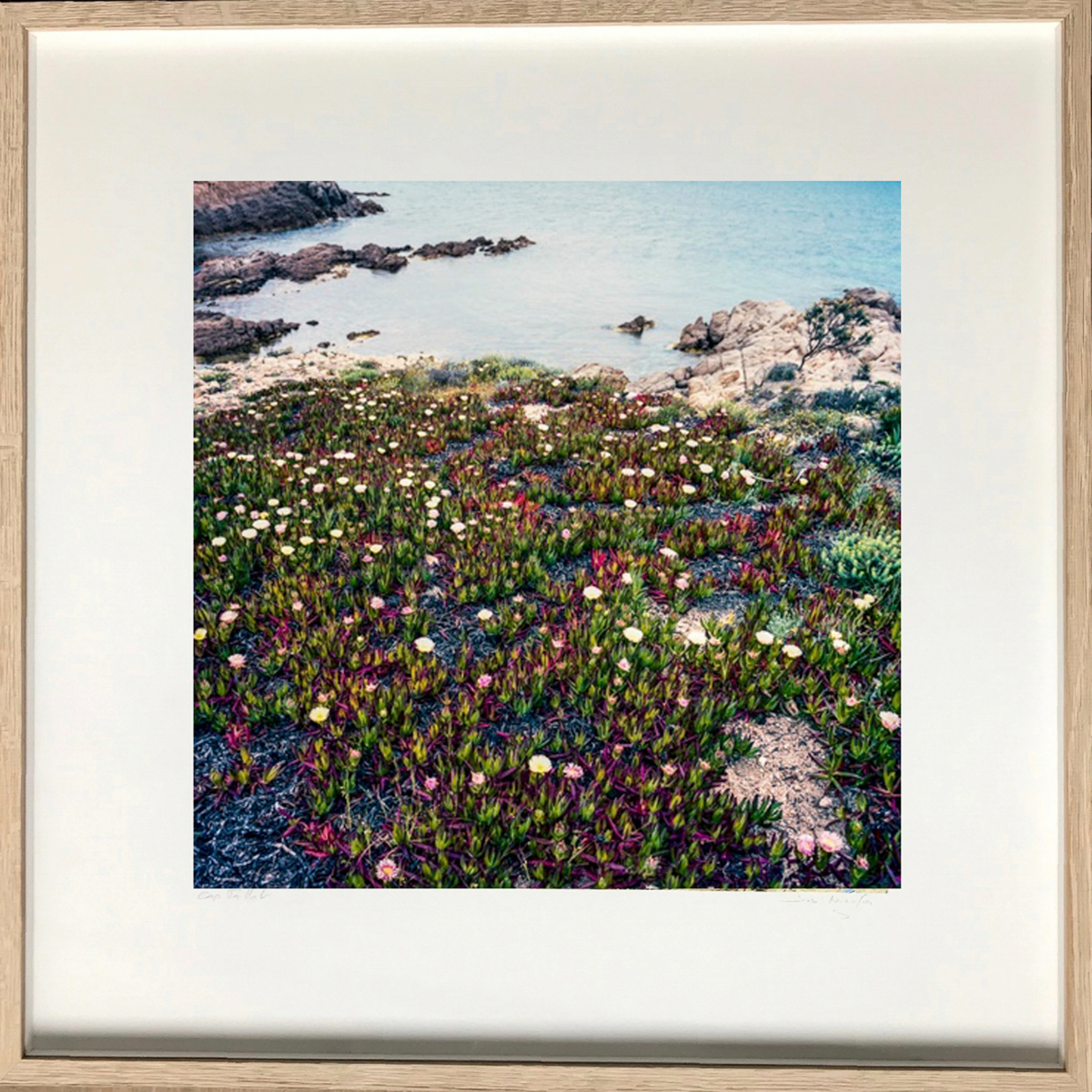 José Nicolas - Saint Tropez, la bonne terre 2016 - Tirage Fine Art