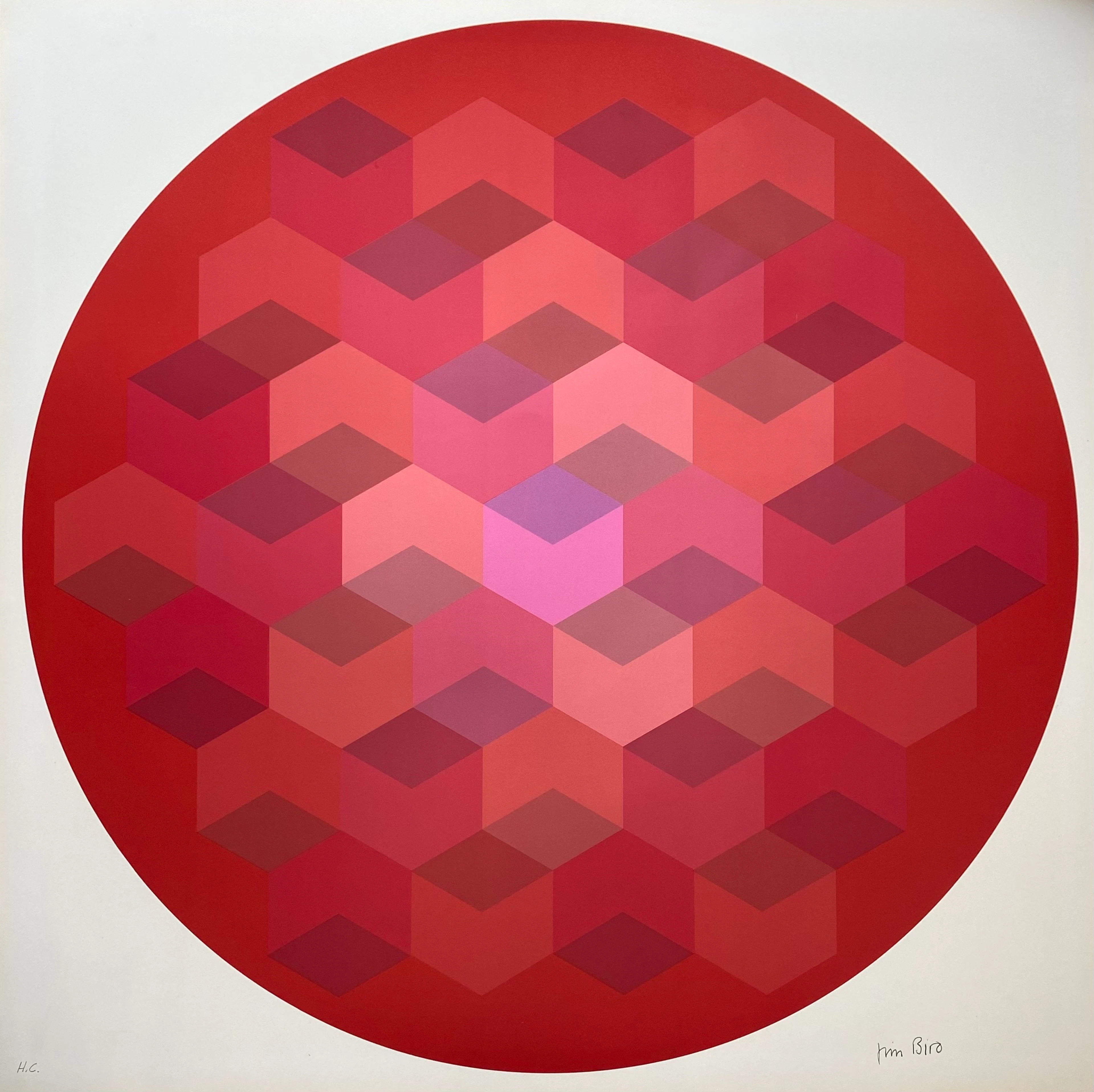 Jim Bird - tribute to Vasarely
