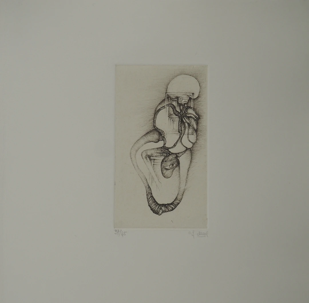 Fred DEUX : Vision, Gravure originale signée