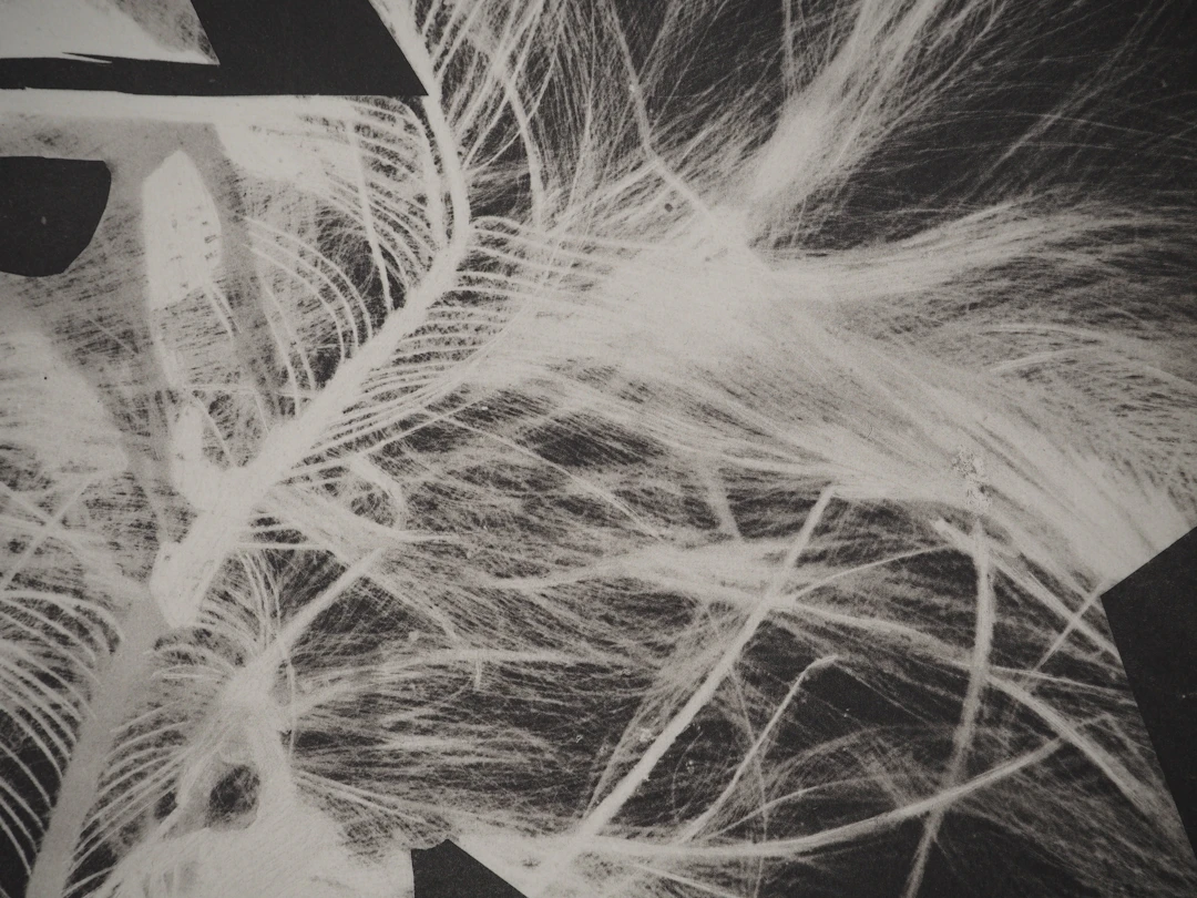 Pablo PICASSO : Diurnes, Le garou, Phototypie originale