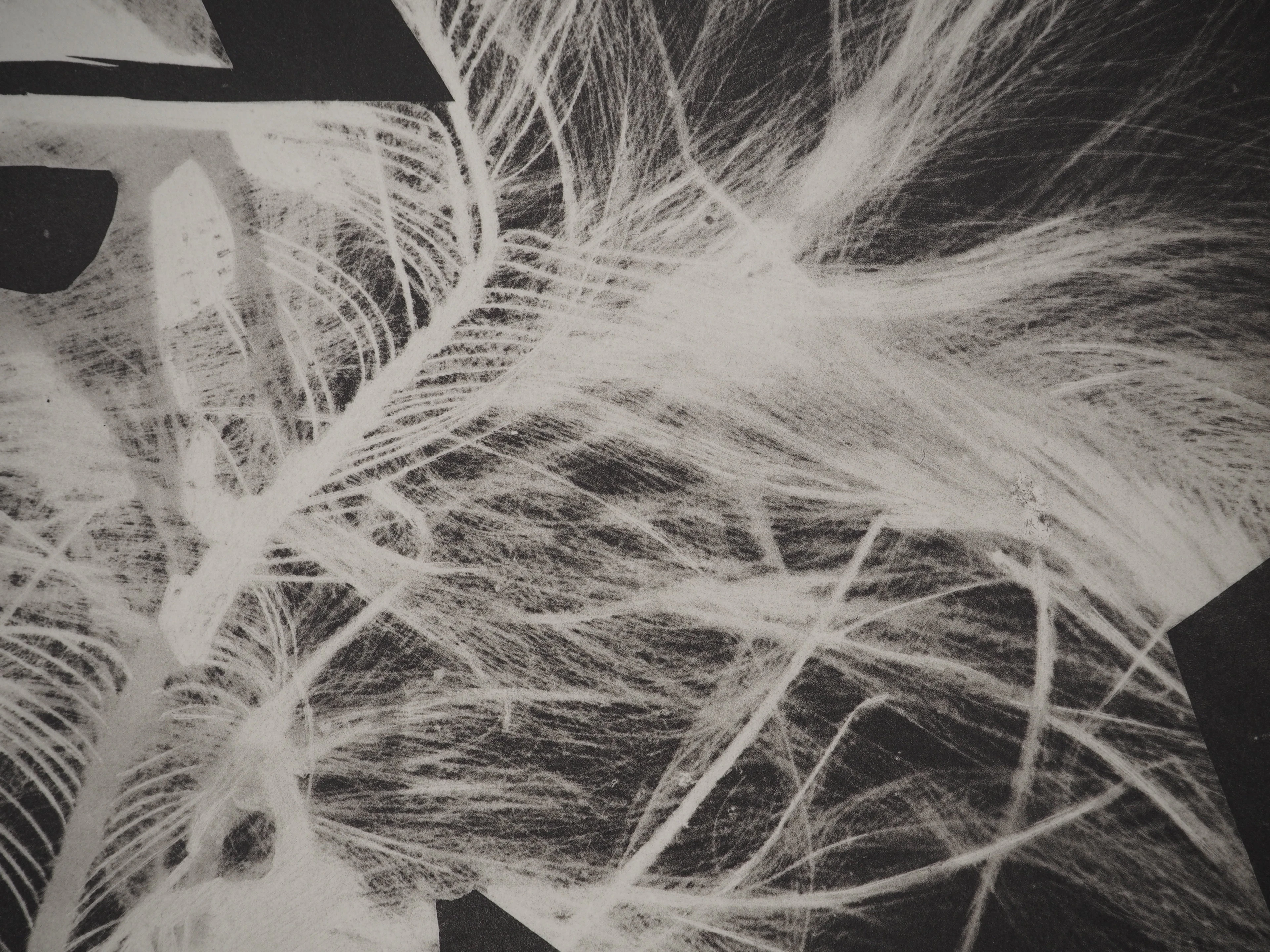 Pablo PICASSO : Diurnes, Le garou, Phototypie originale