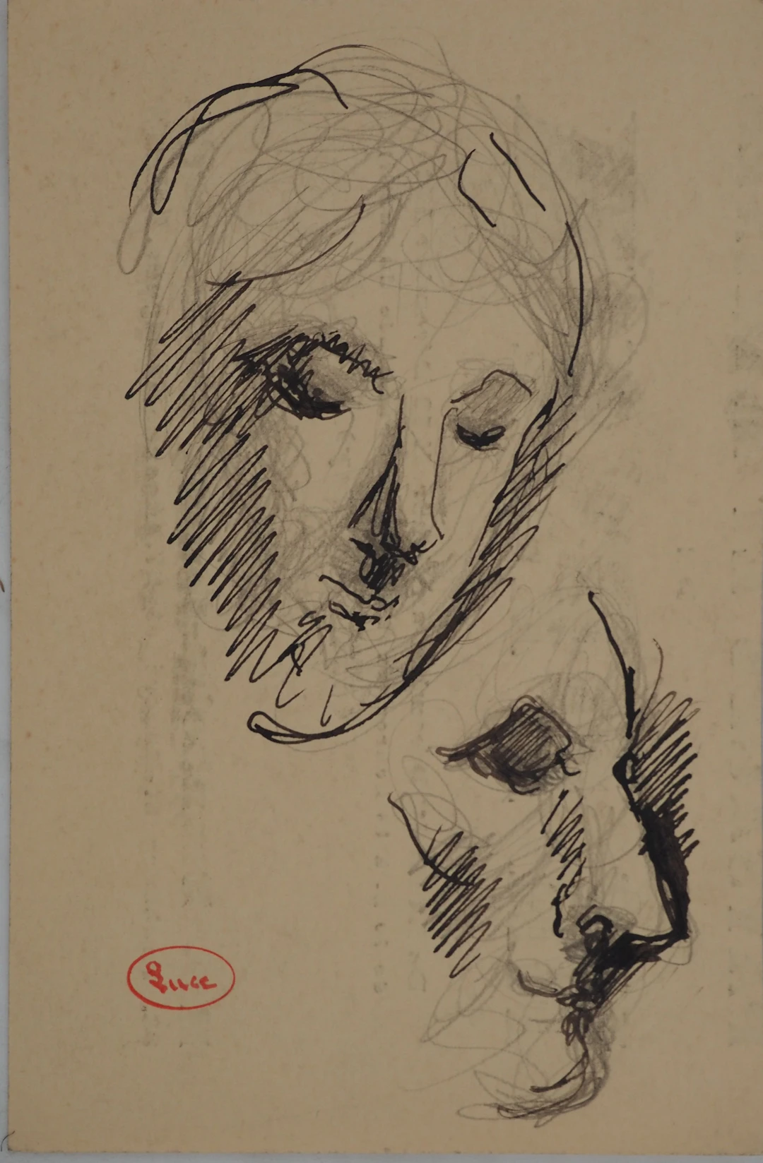 Maximilien LUCE : Etude pour visage féminin, Dessin original signé