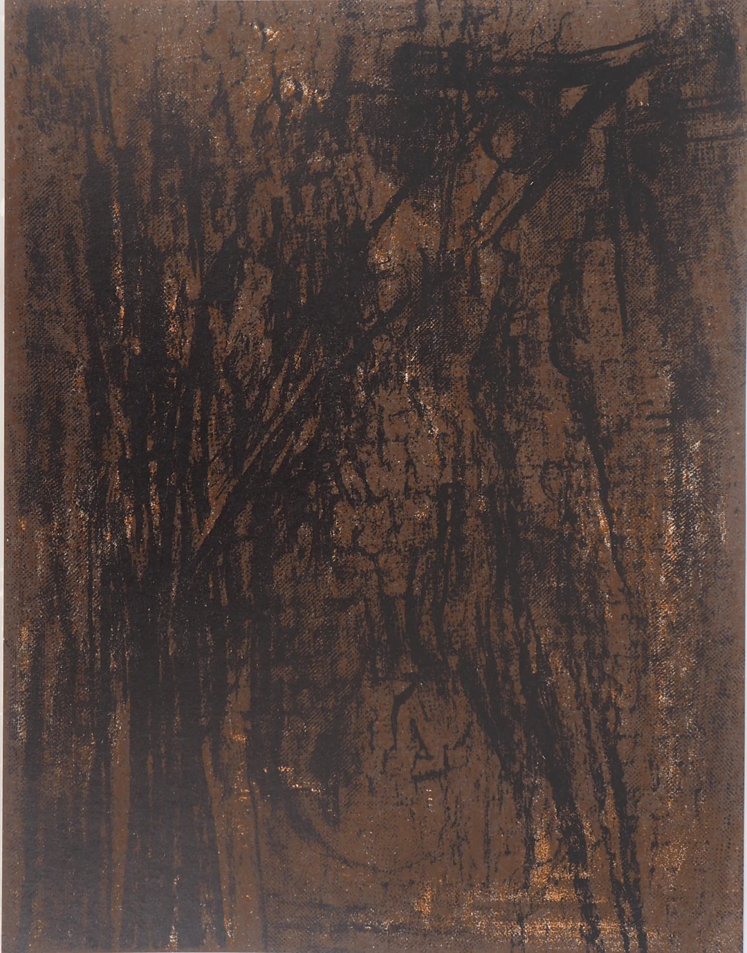 Maria Helena VIEIRA DA SILVA : Terre du Portugal, Lithographie originale