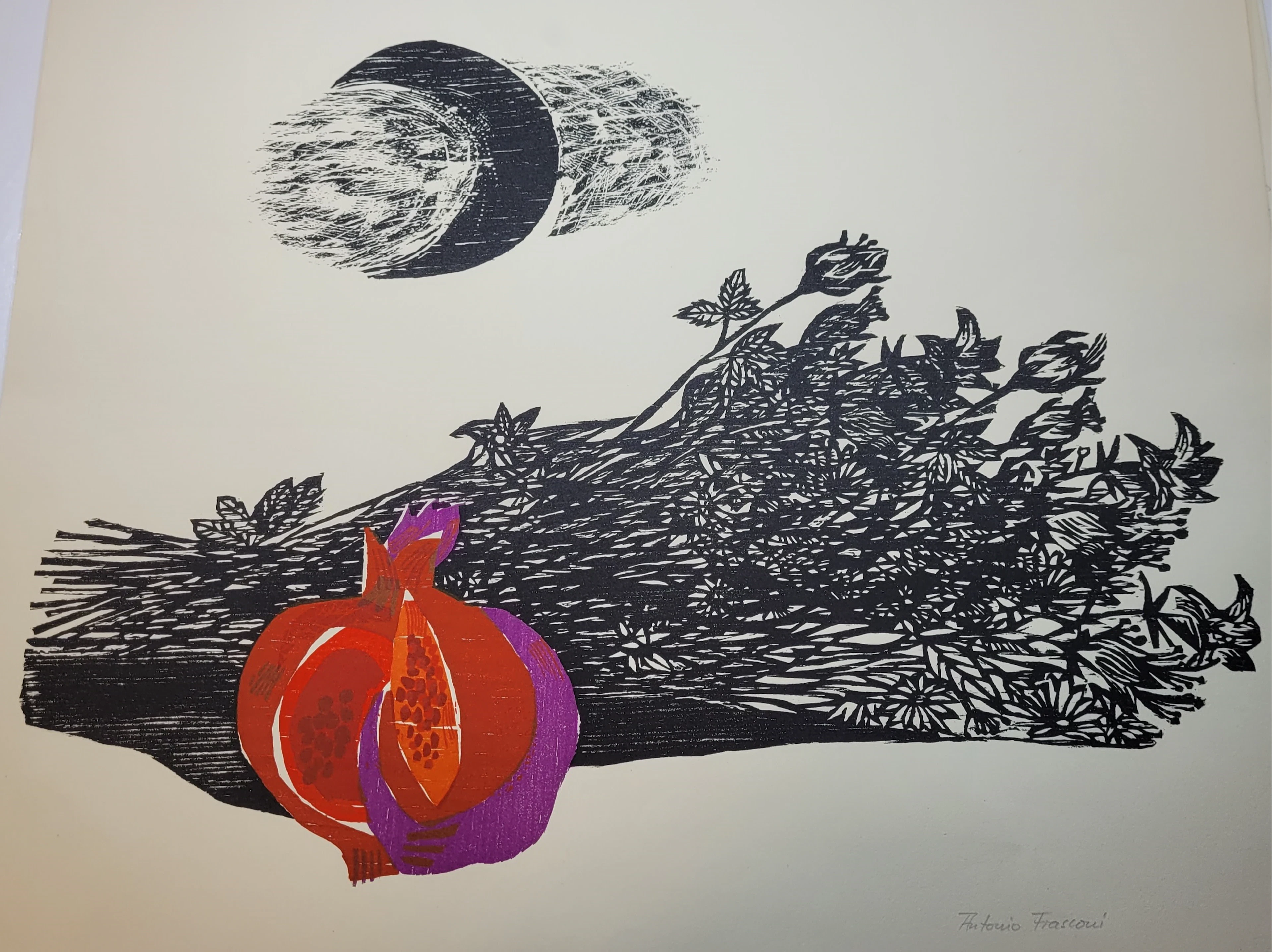 Antonio FRASCONI - Nature morte à la grenade, 1964 - Bois gravé signé au crayon
