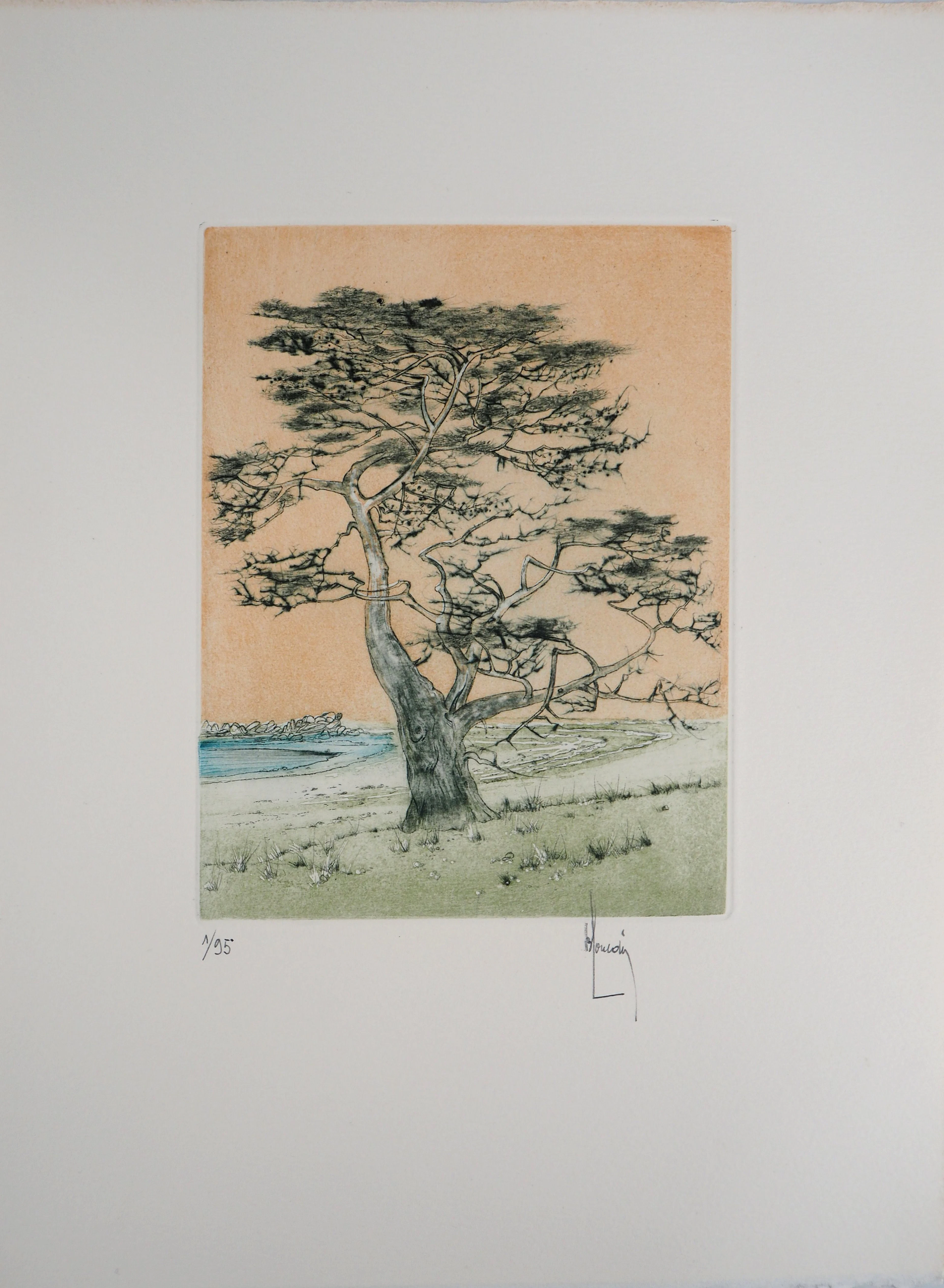 Bernard LOUEDIN : Les pins maritimes - Gravure Originale Signée