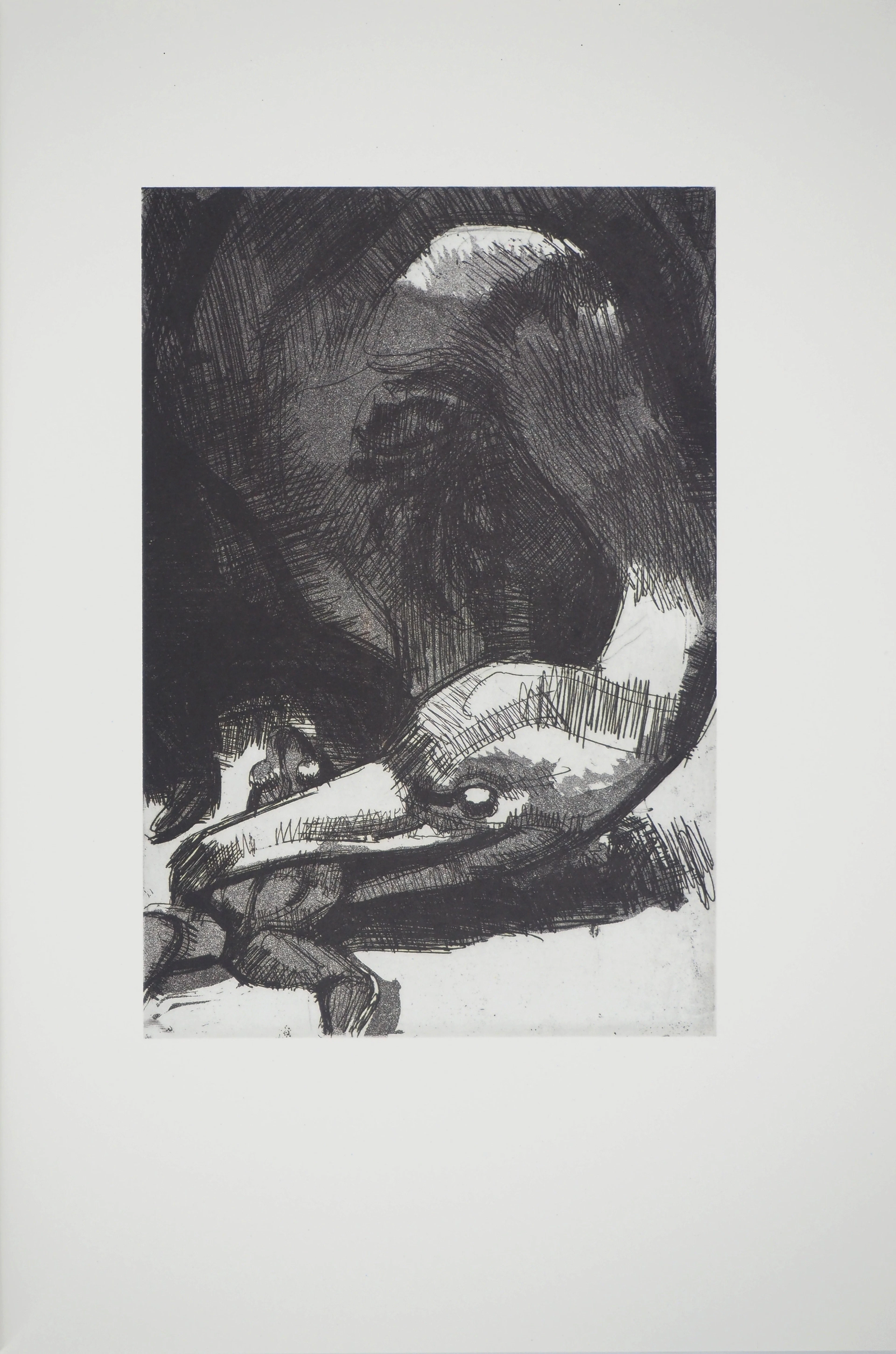 Guillermo ROUX : Le vautour, Héliogravure