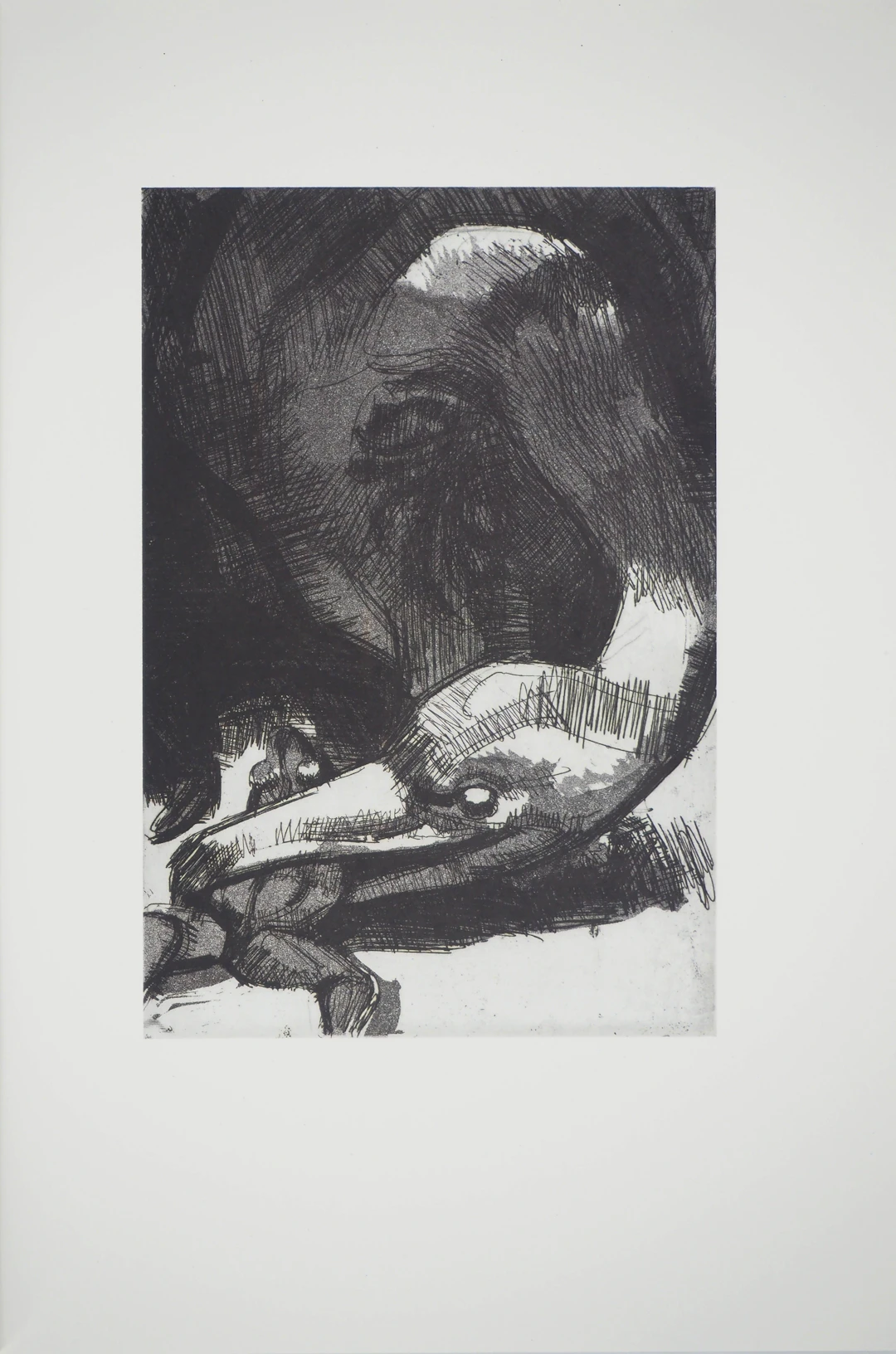 Guillermo ROUX : Le vautour, Héliogravure