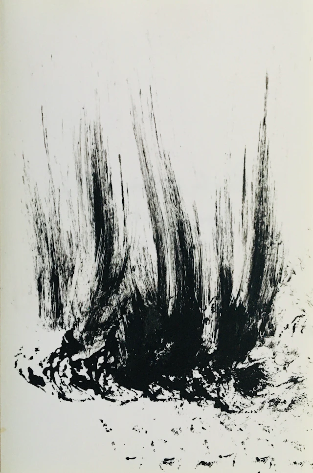 Philippe COGNEE - Broussailles, 2016 - Dessin signé