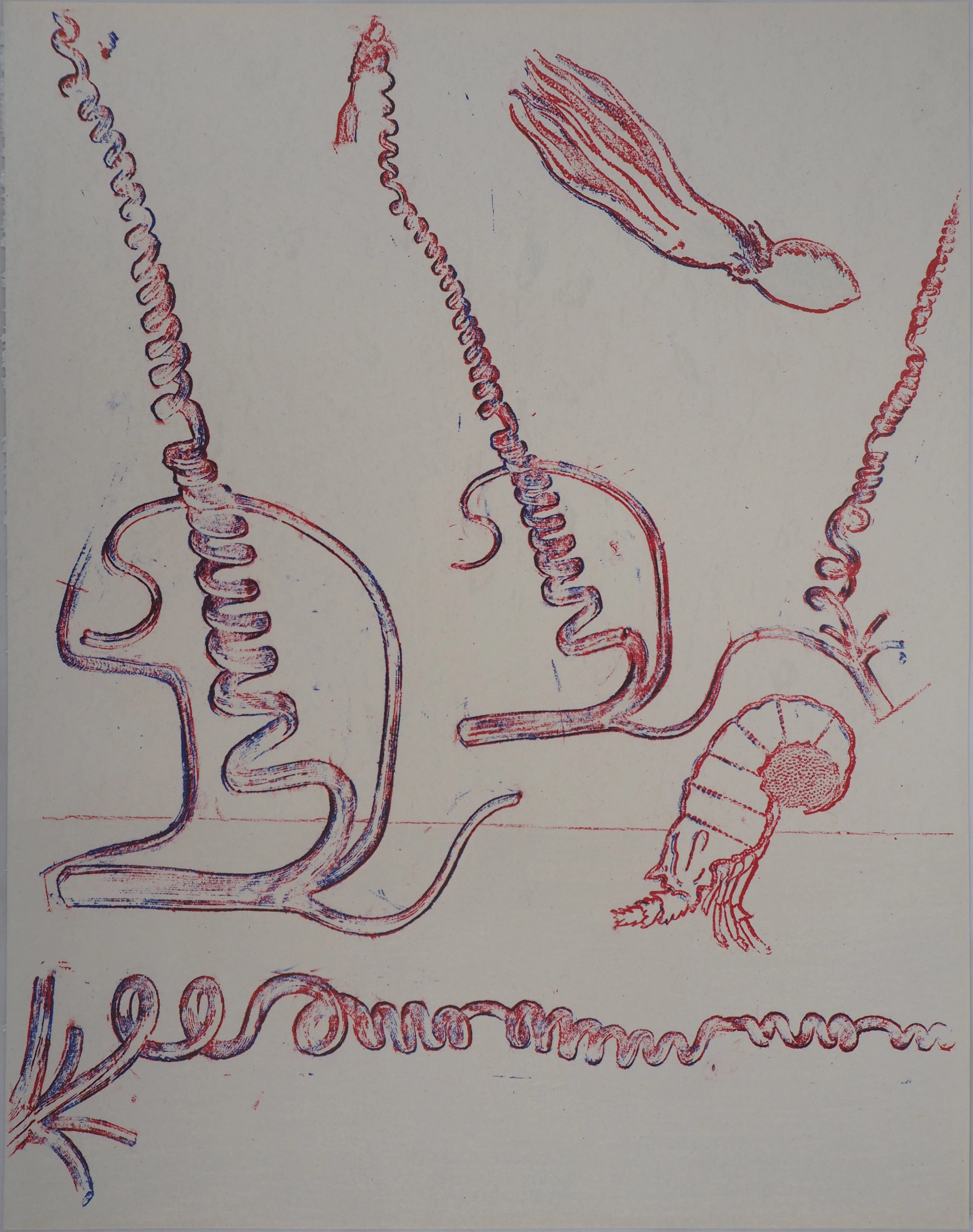 Max ERNST : Composition surréaliste - Lithographie originale