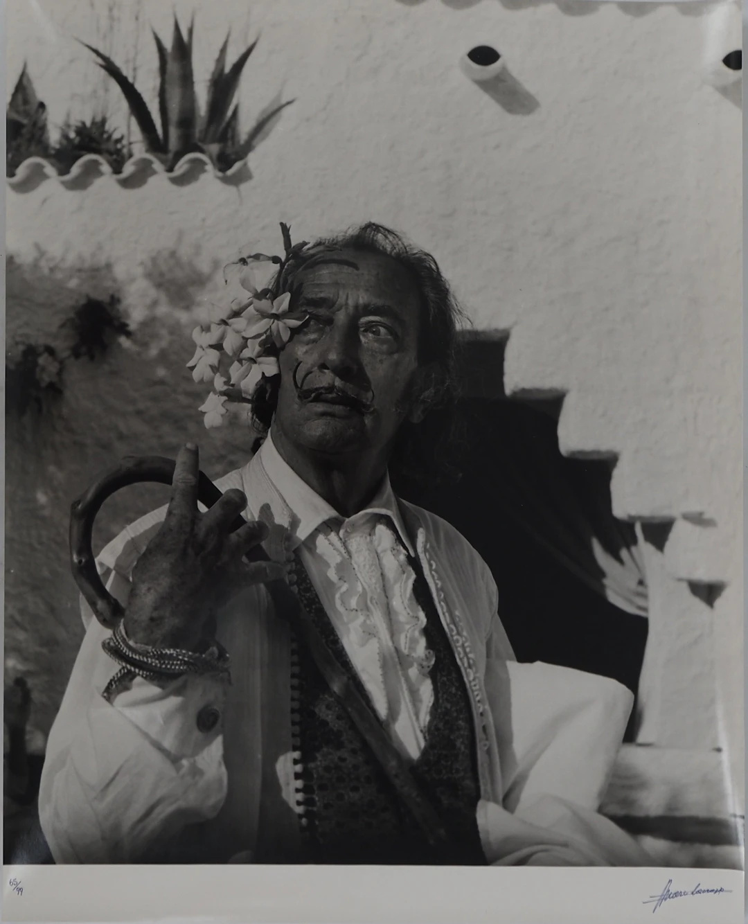 Marc LACROIX : Dali aux fleurs blanches, Photographie originale signée