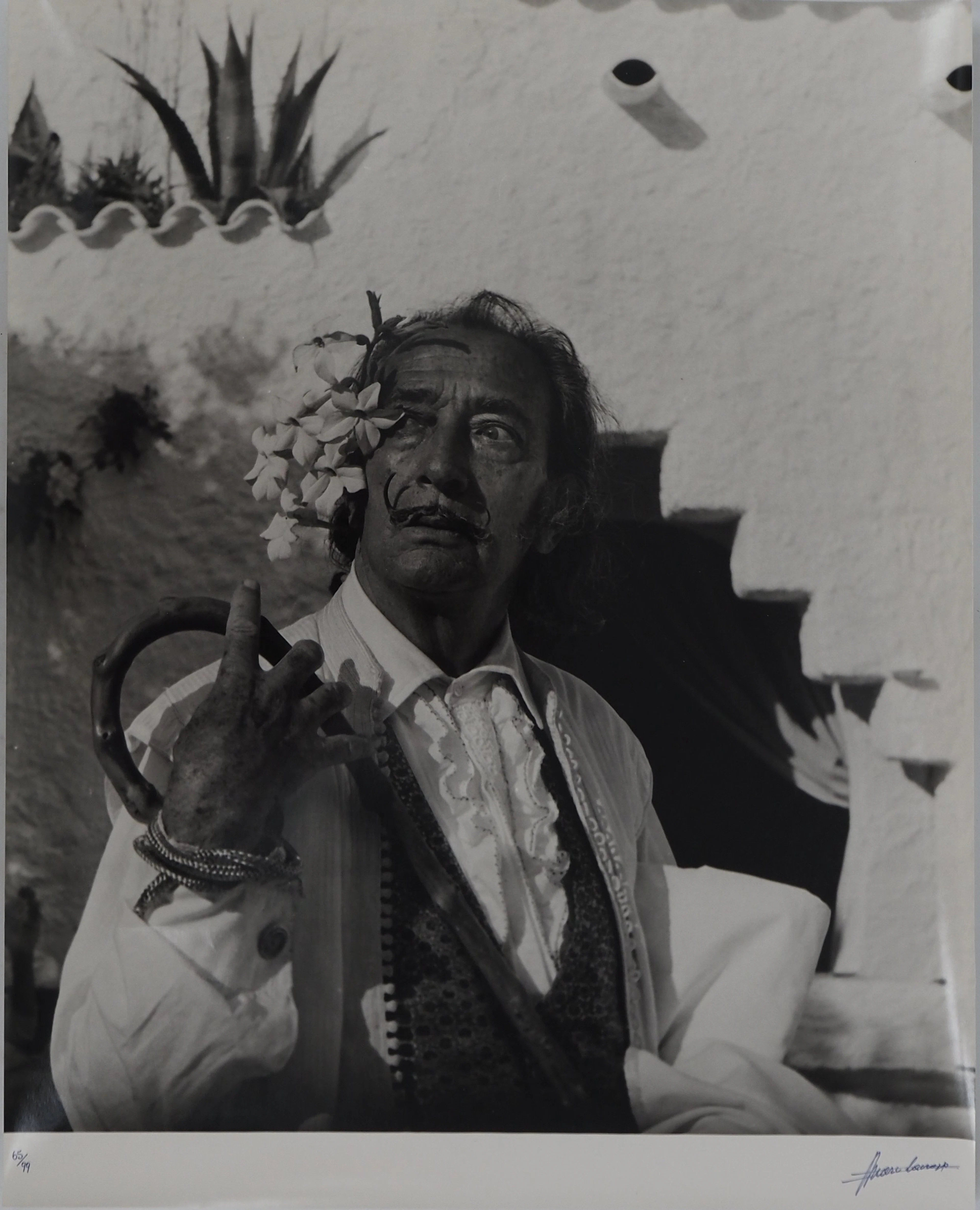Marc LACROIX : Dali aux fleurs blanches, Photographie originale signée