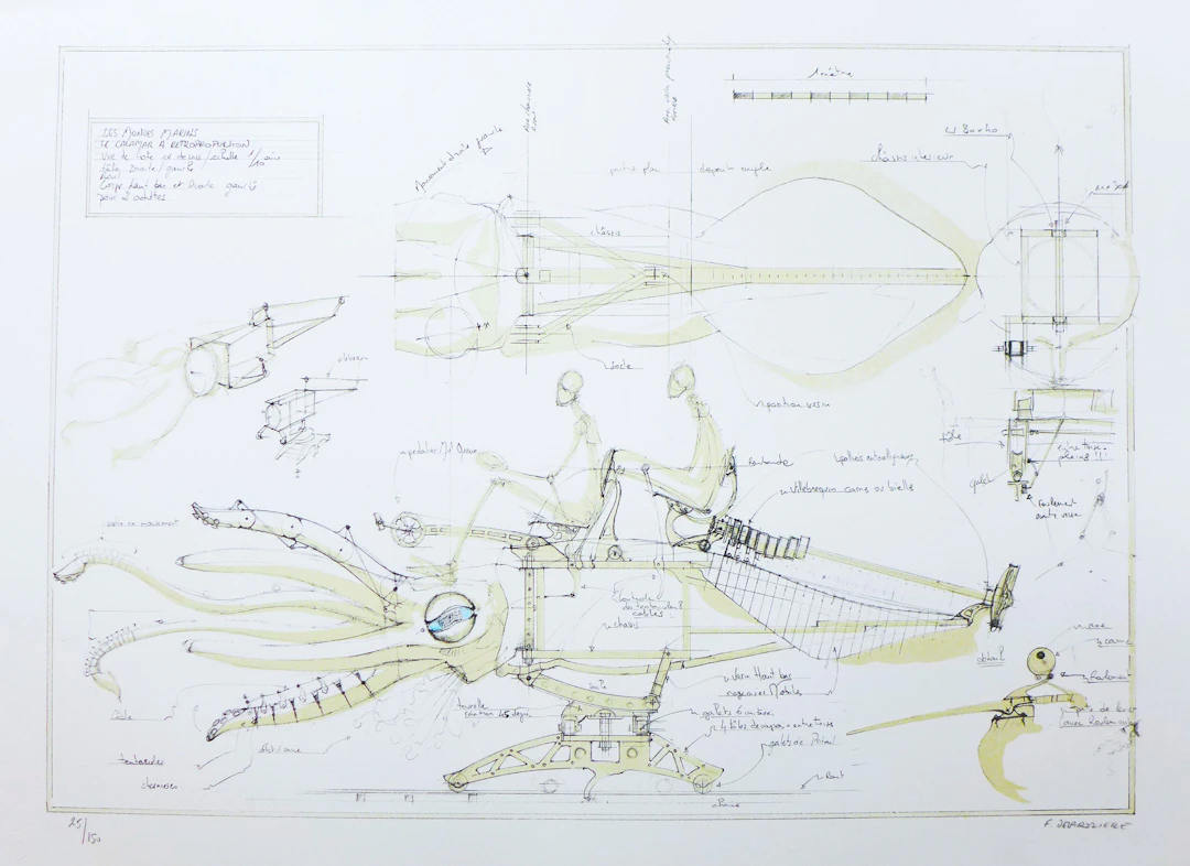 François DELAROZIERE - Le calamar a retropropulsion, 2008 - Lithographie