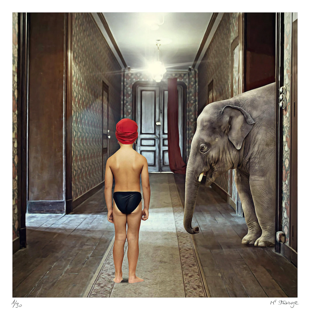 Mr STRANGE - Young Maharaja, 2021 - Sérigraphie originale signée et numérotée