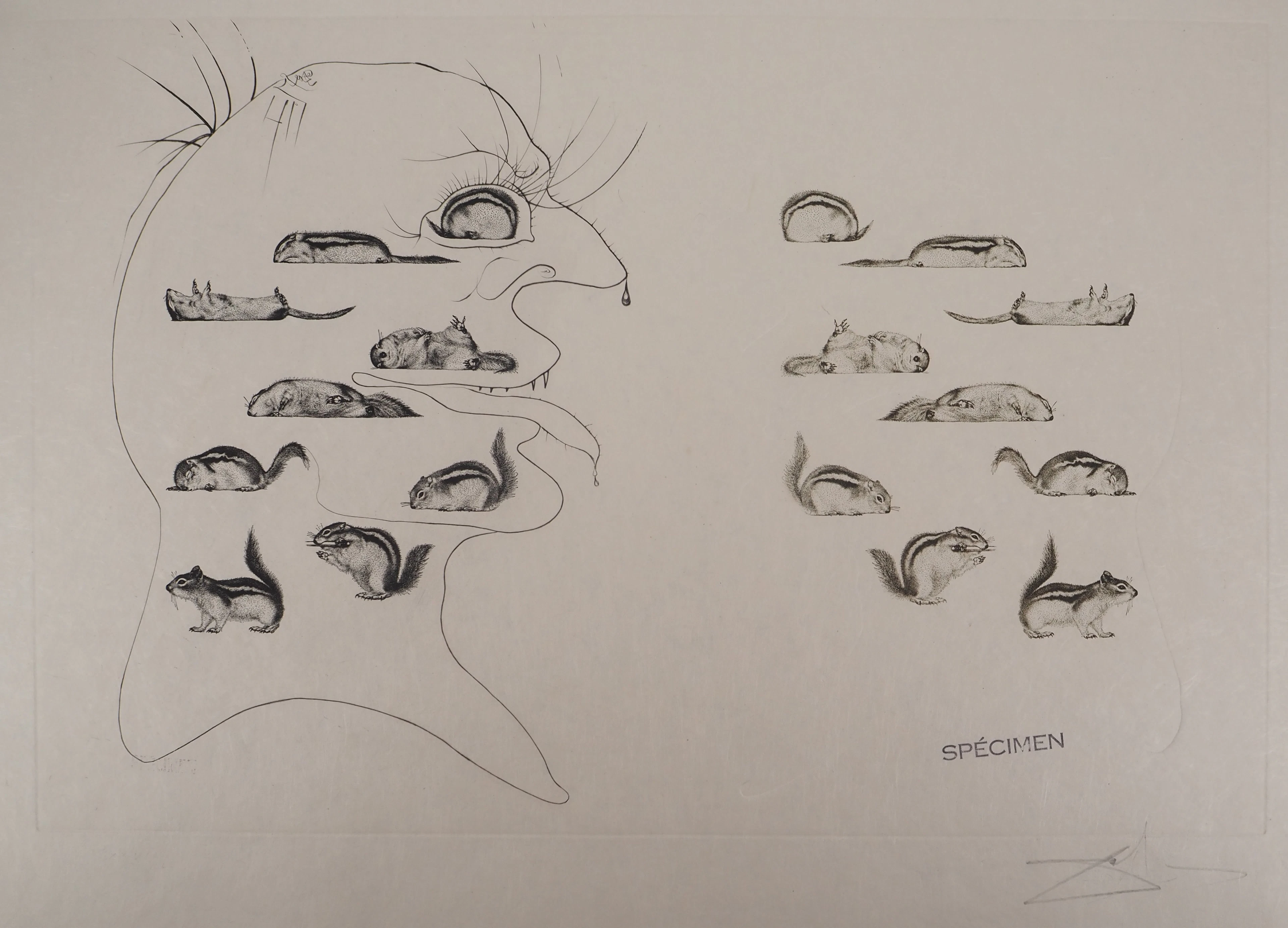 Salvador Dali - Dix Recettes d’Immortalité : Composition surréaliste