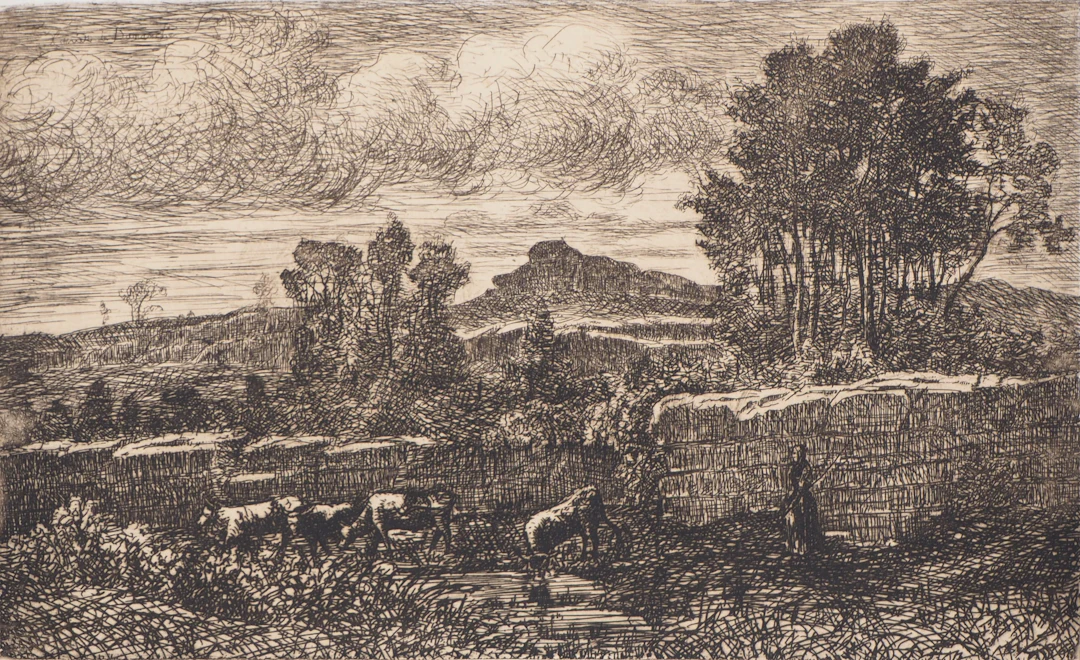 Xavier DE DANANCHE : Bourgogne, Paysage de la Bresse - Eau forte Originale