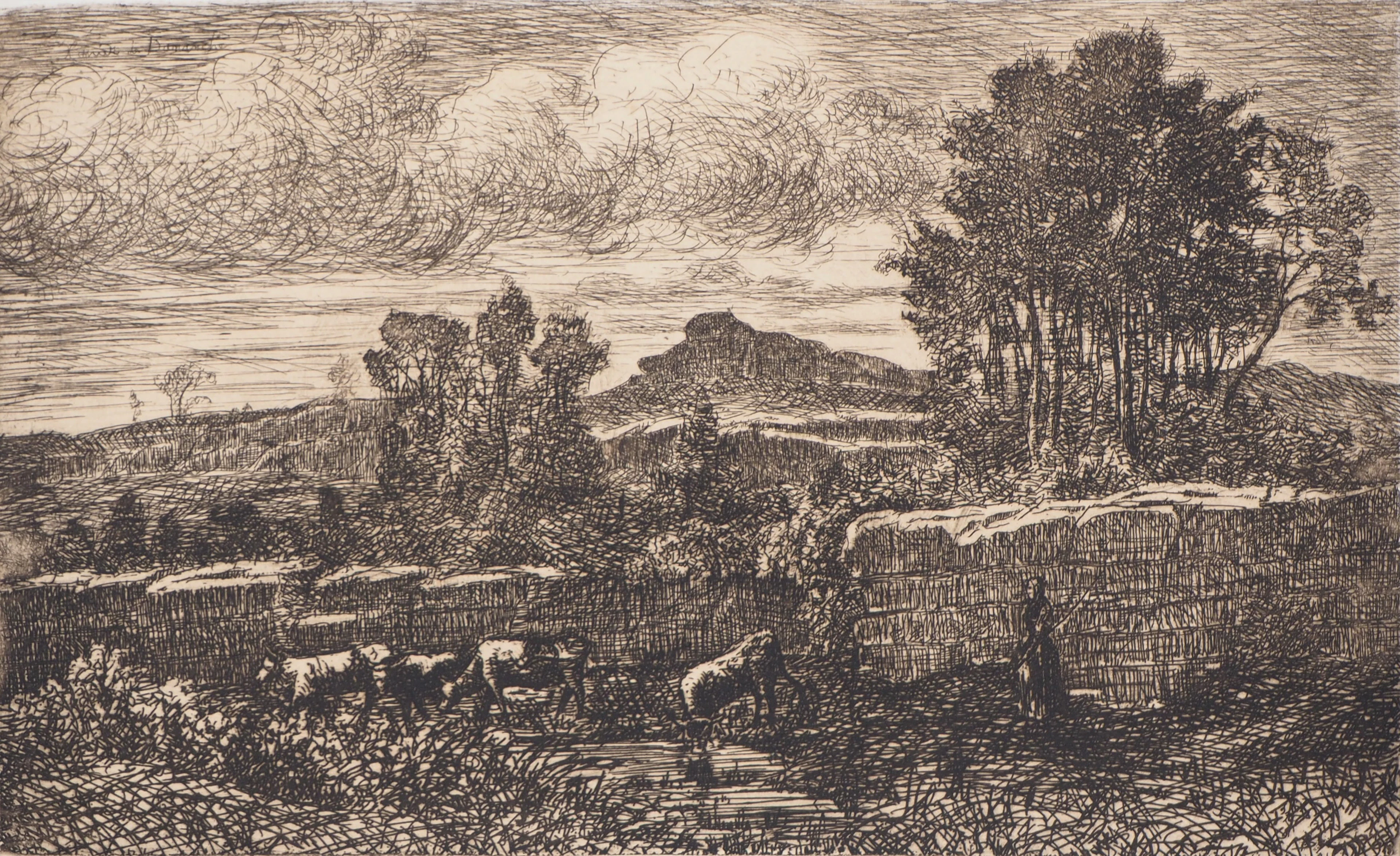 Xavier DE DANANCHE : Bourgogne, Paysage de la Bresse - Eau forte Originale