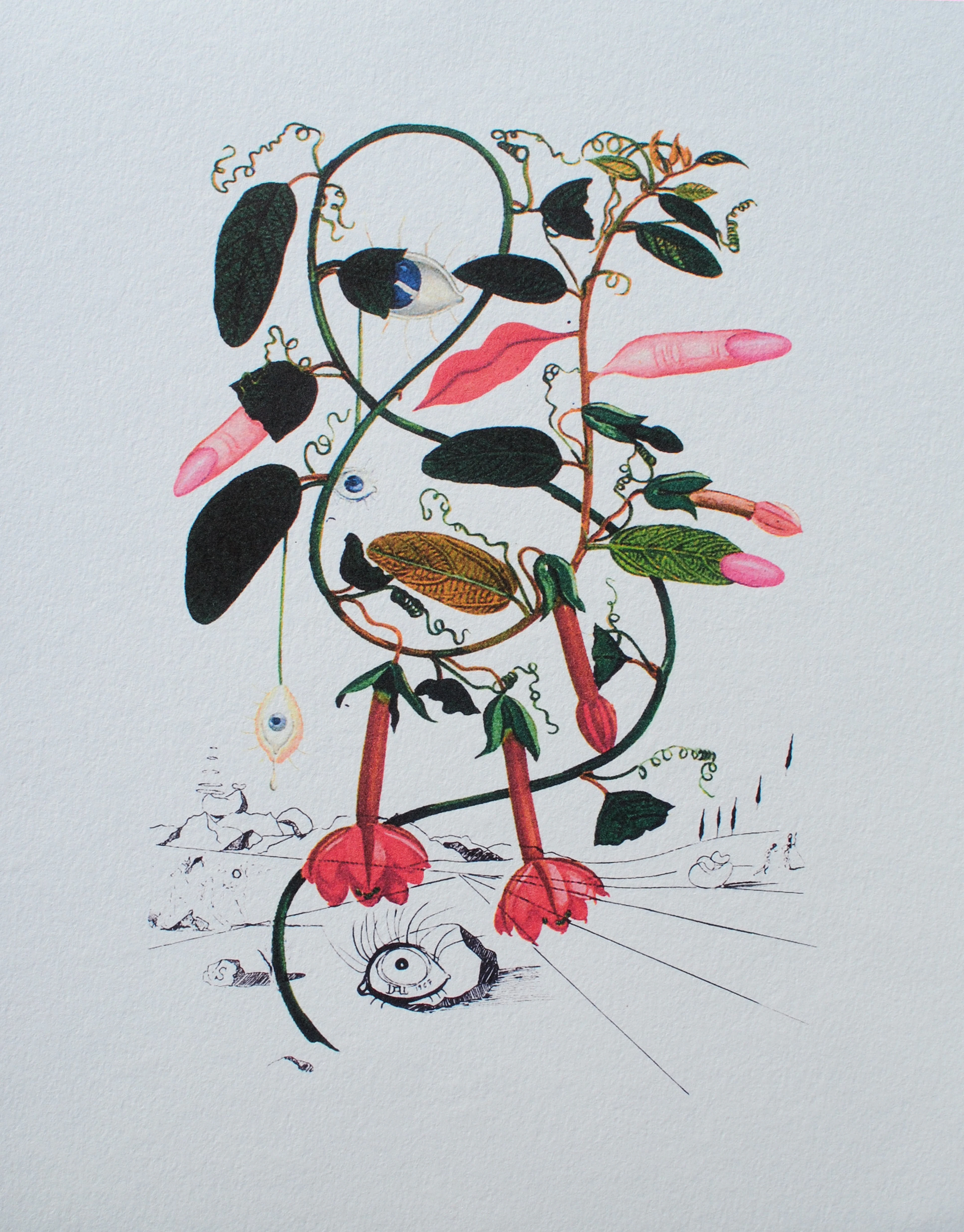Salvador DALI : Arbre fou, 1979, Lithographie signée