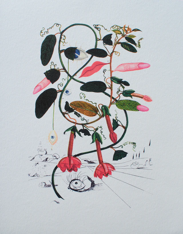 Salvador DALI : Arbre fou, 1979, Lithographie signée