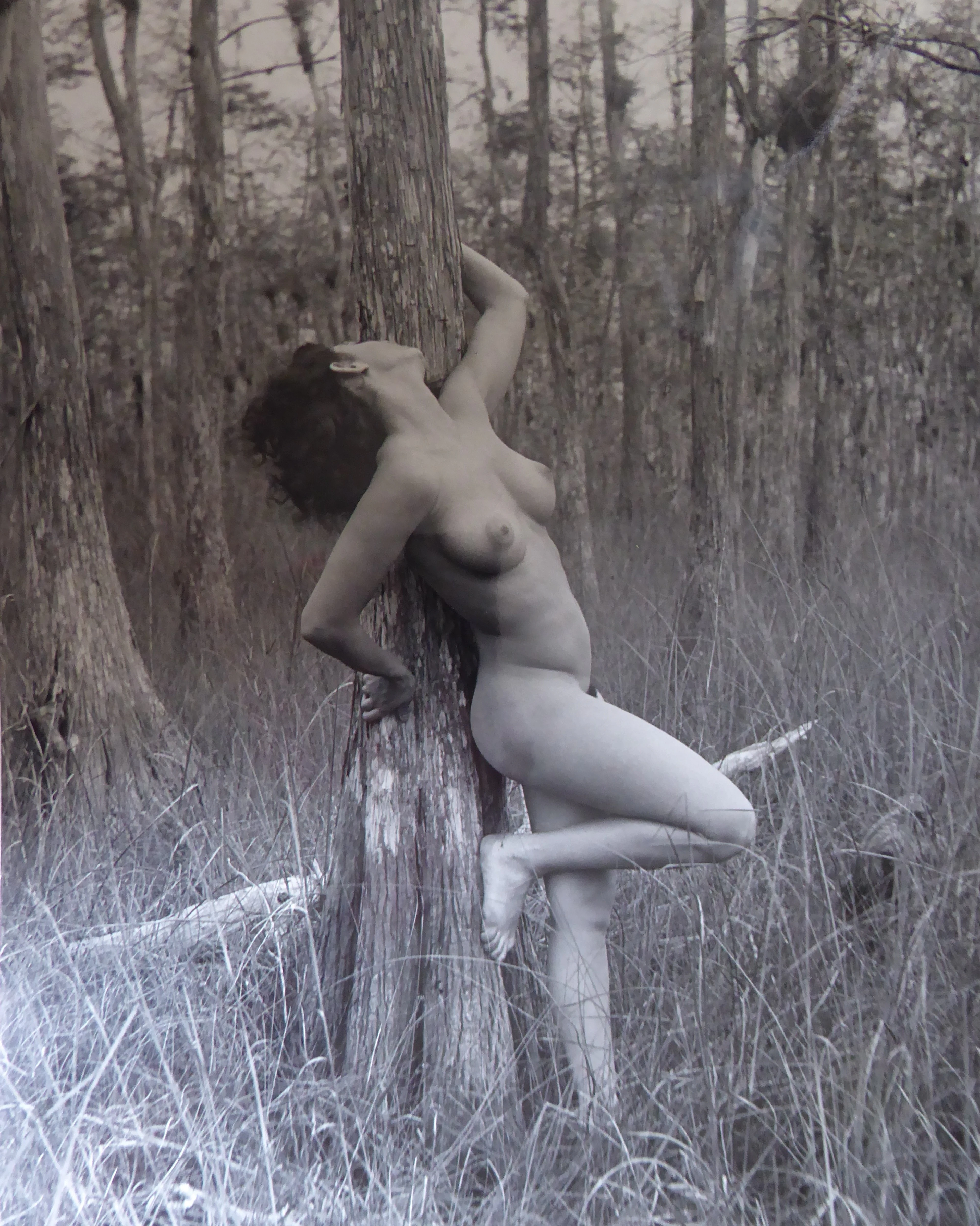 André DE DIENES - Nude, 1960, Tirage argentique