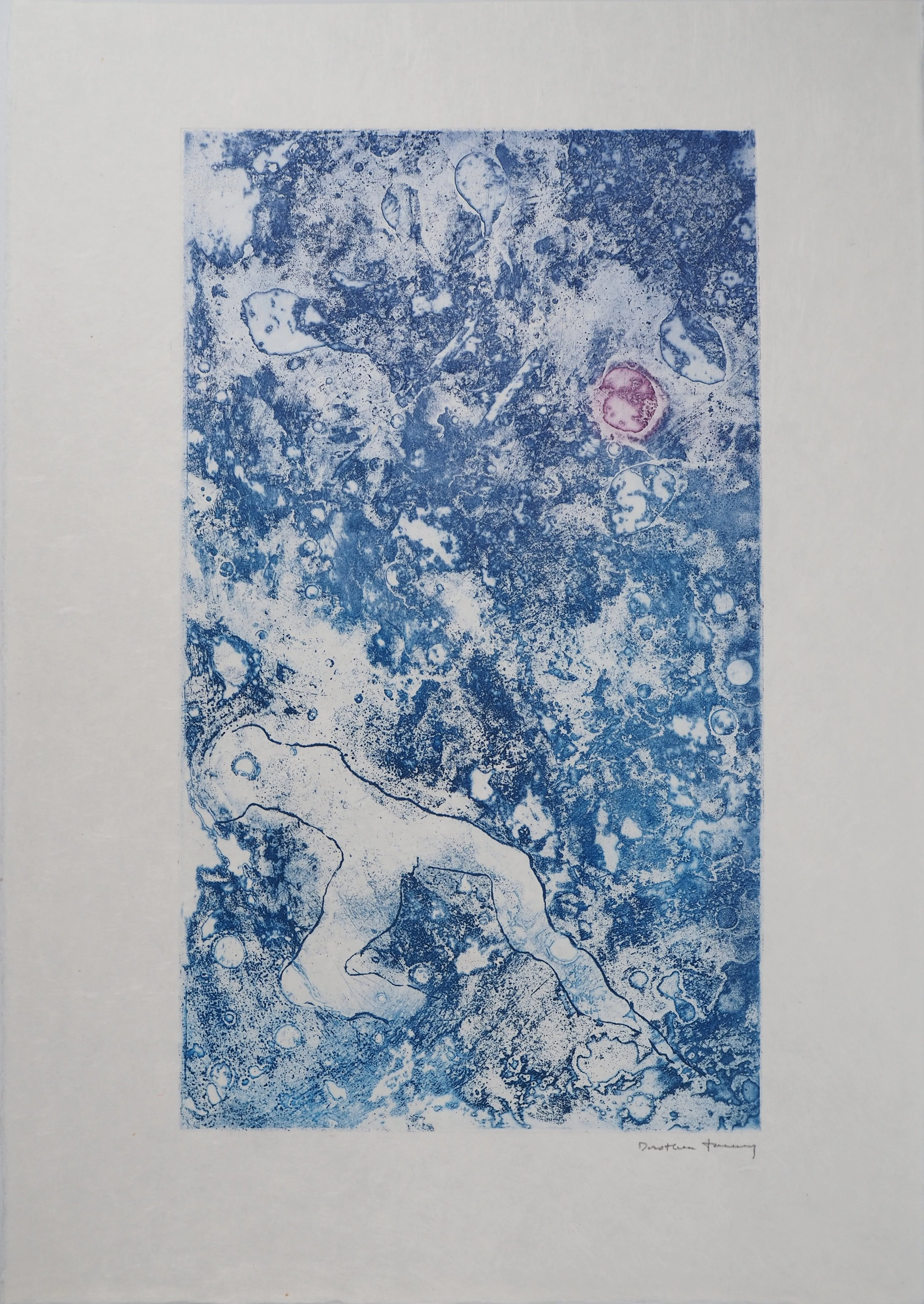Dorothea Tanning : Naïade dans les flots surréalistes, 1970 - Gravure