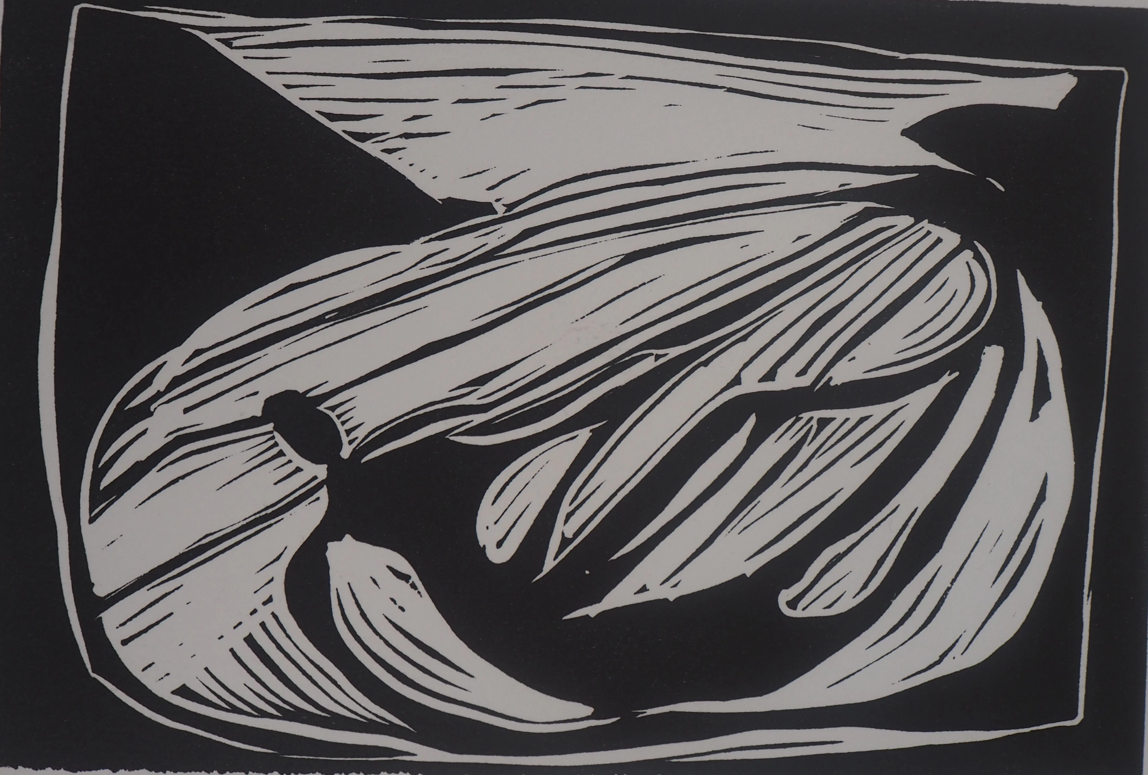 Pierre Collin - Rétrospective - Gravure originale signée