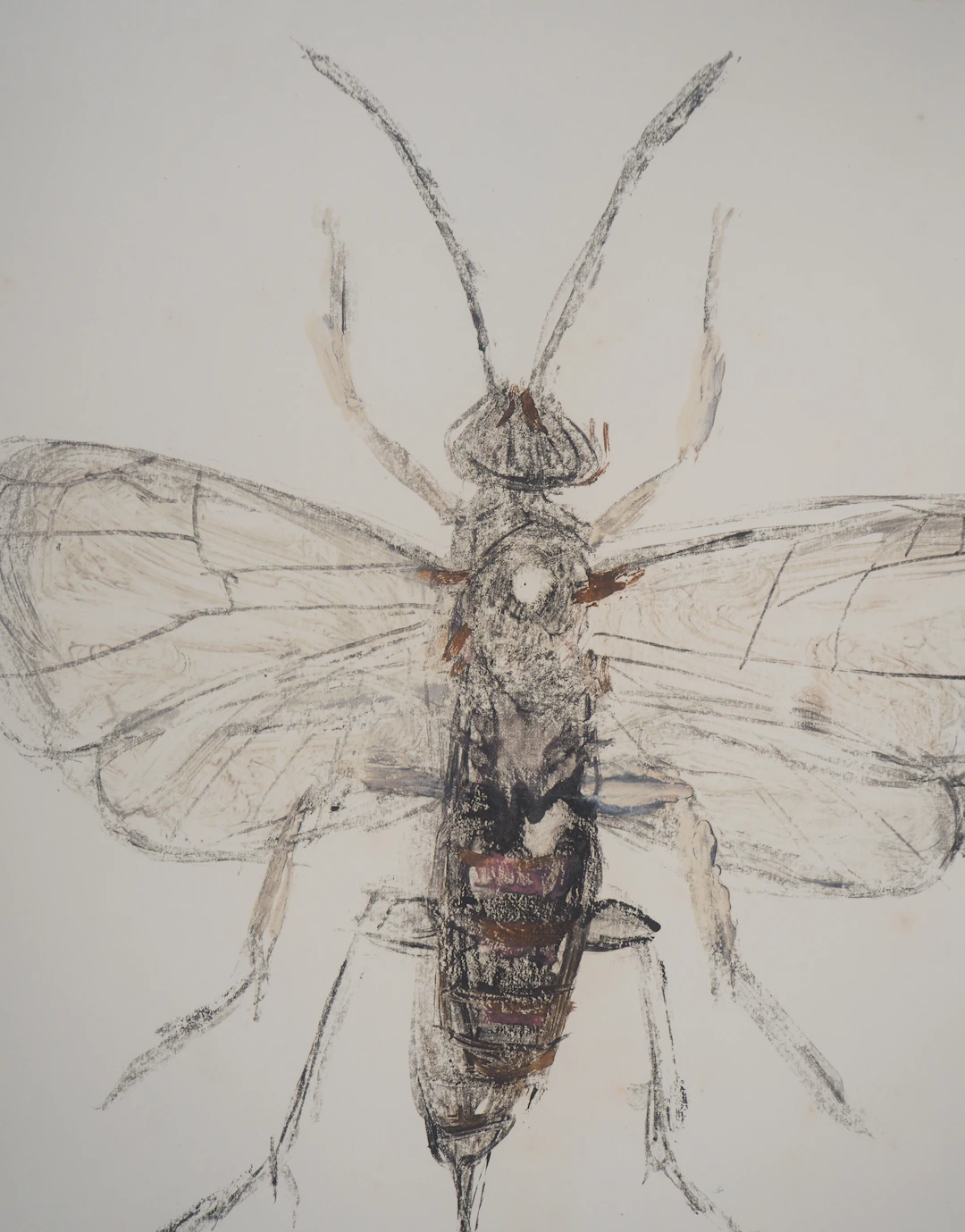 Michel HENRY - Les insectes : le Pompilidae - Monotype original signé