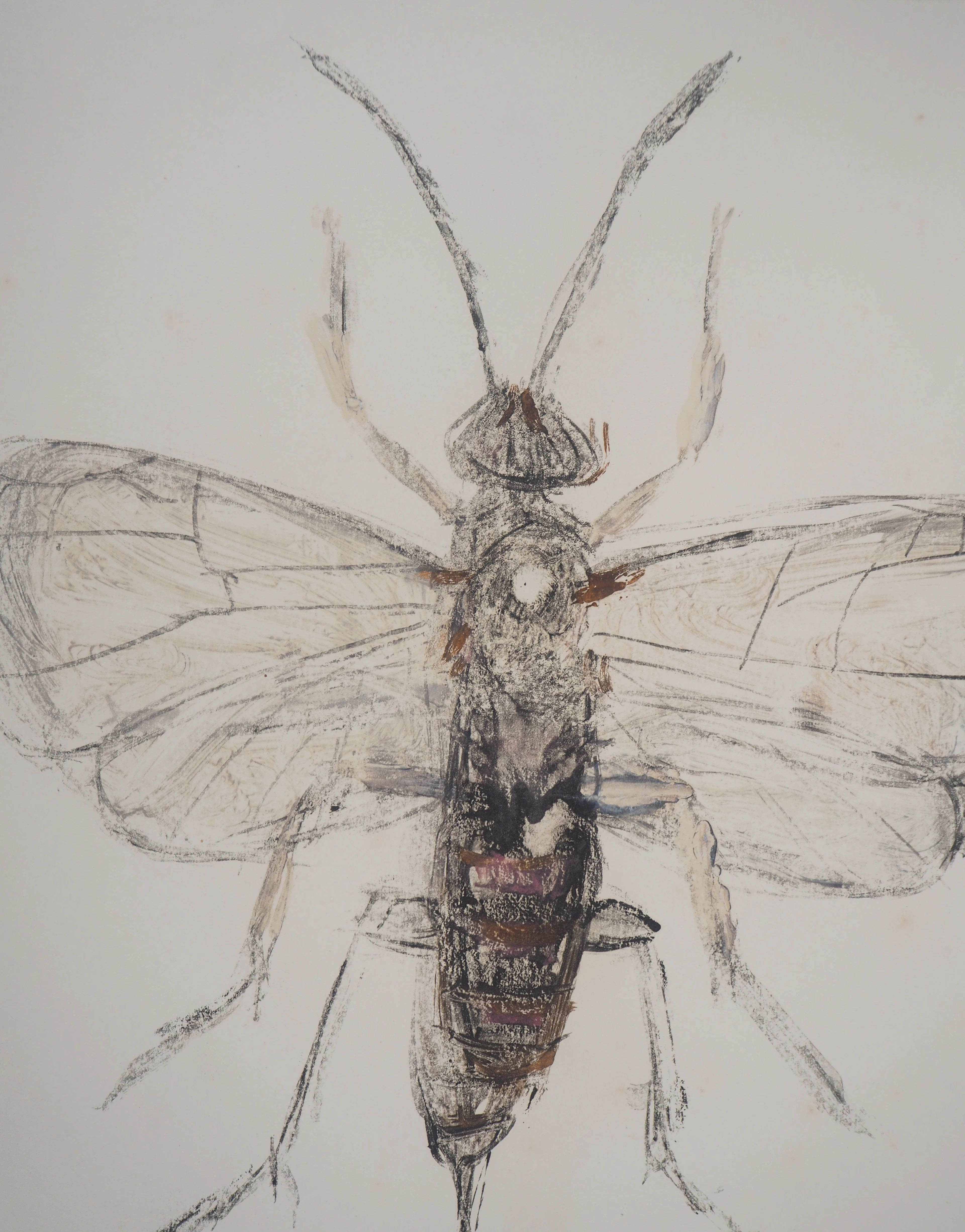 Michel HENRY - Les insectes : le Pompilidae - Monotype original signé